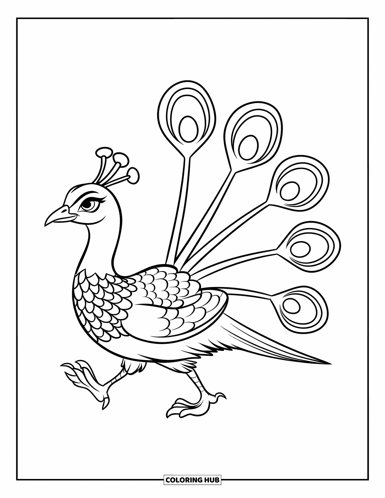 Disegno di pavone da colorare per bambini: Un pavone con piccoli piedi cammina orgogliosamente, mostrando cinque piume audaci
