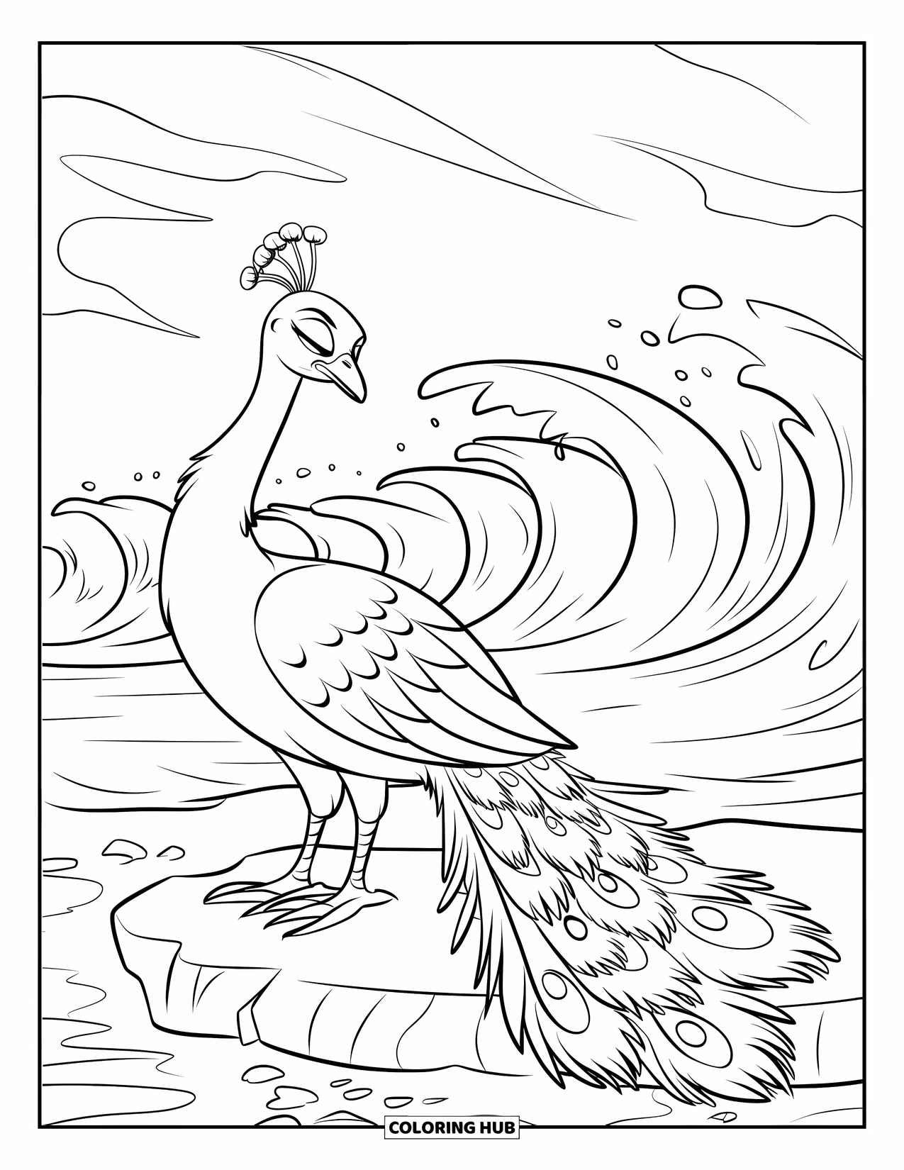 Disegno di pavone da colorare per bambini: Un pavone con piume bagnate e arricciate si erge con grazia su una costa rocciosa