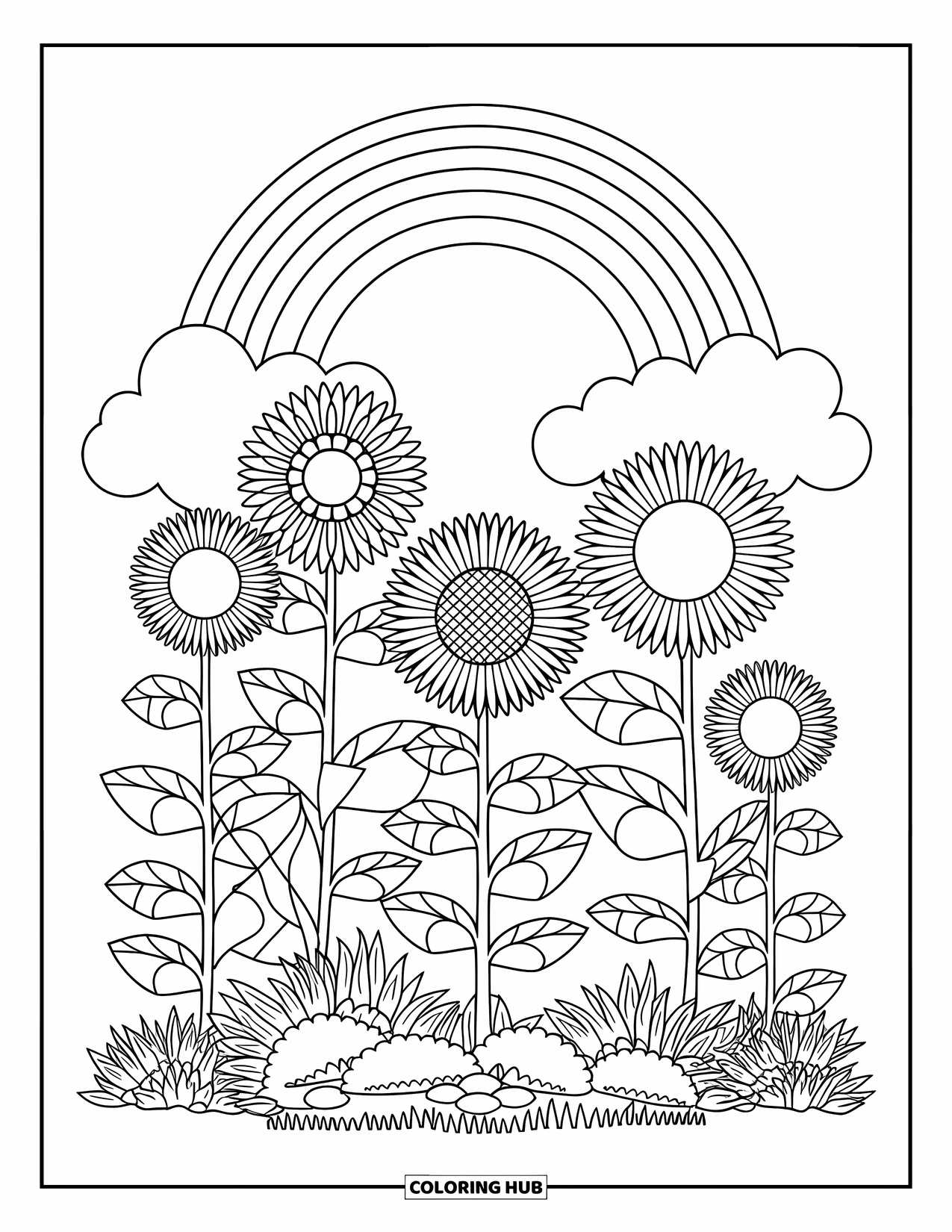 Desen de colorat cu curcubeu pentru copii: O grădină veselă de floarea-soarelui înflorește sub un curcubeu larg pe cer