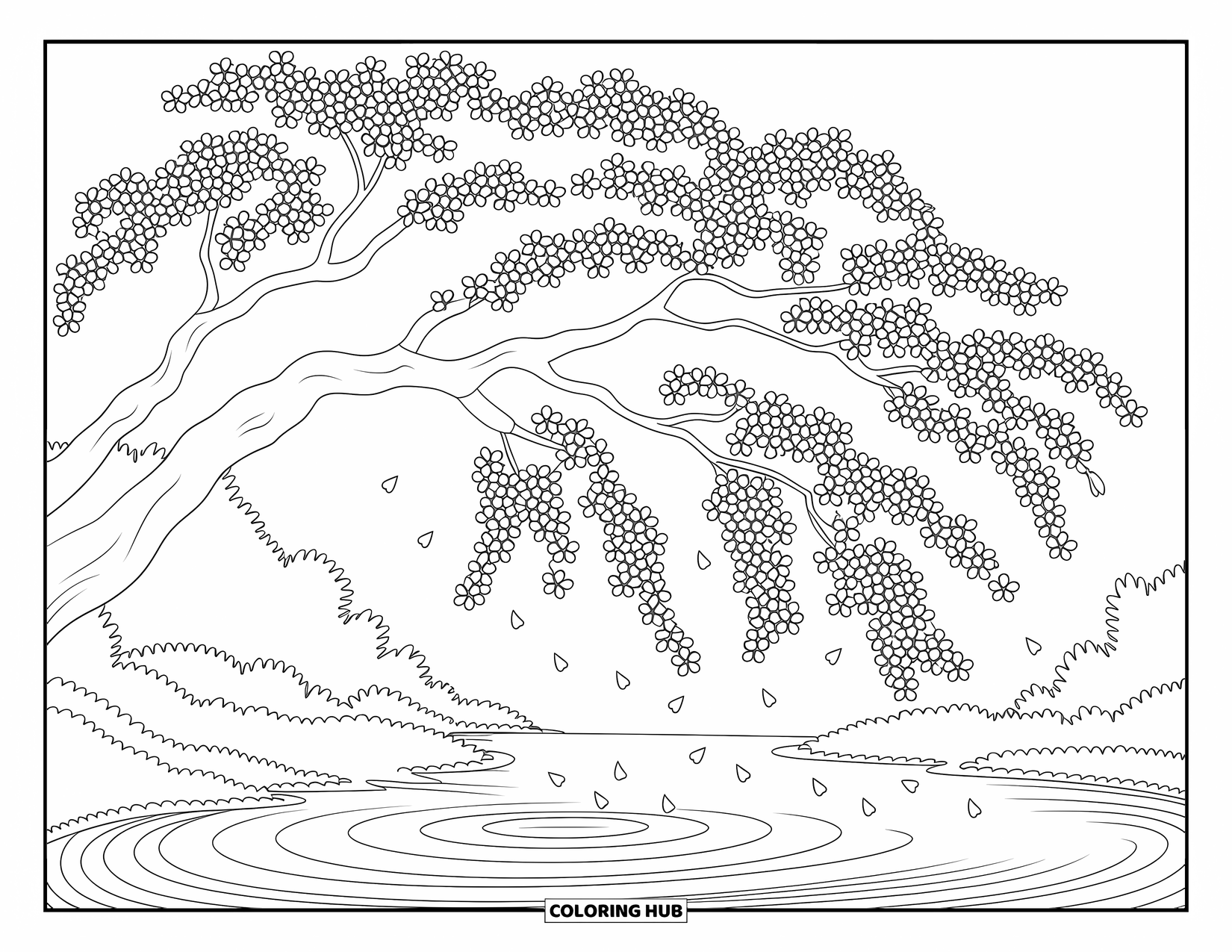 Lente Kleurplaat voor Volwassenen: Een grote kersenbloesemboom met bloemblaadjes die zachtjes op een rustige vijver vallen
