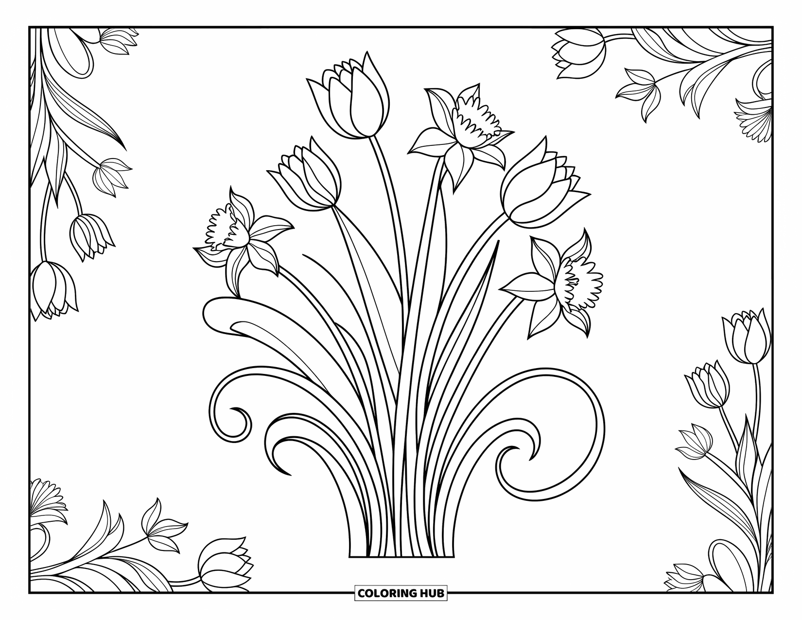 Lente Kleurplaat voor Volwassenen: Een verfijnde bloemencompositie met in elkaar grijpende tulpen, narcissen en delicate wervelende bladeren