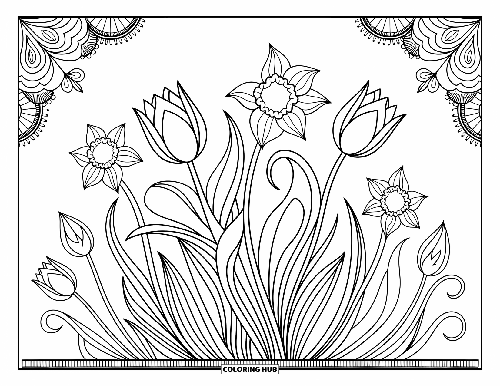 Lente Kleurplaat voor Volwassenen: Een sierlijk bloemmotief van tulpen en narcissen verweven met decoratieve bladeren en ranken
