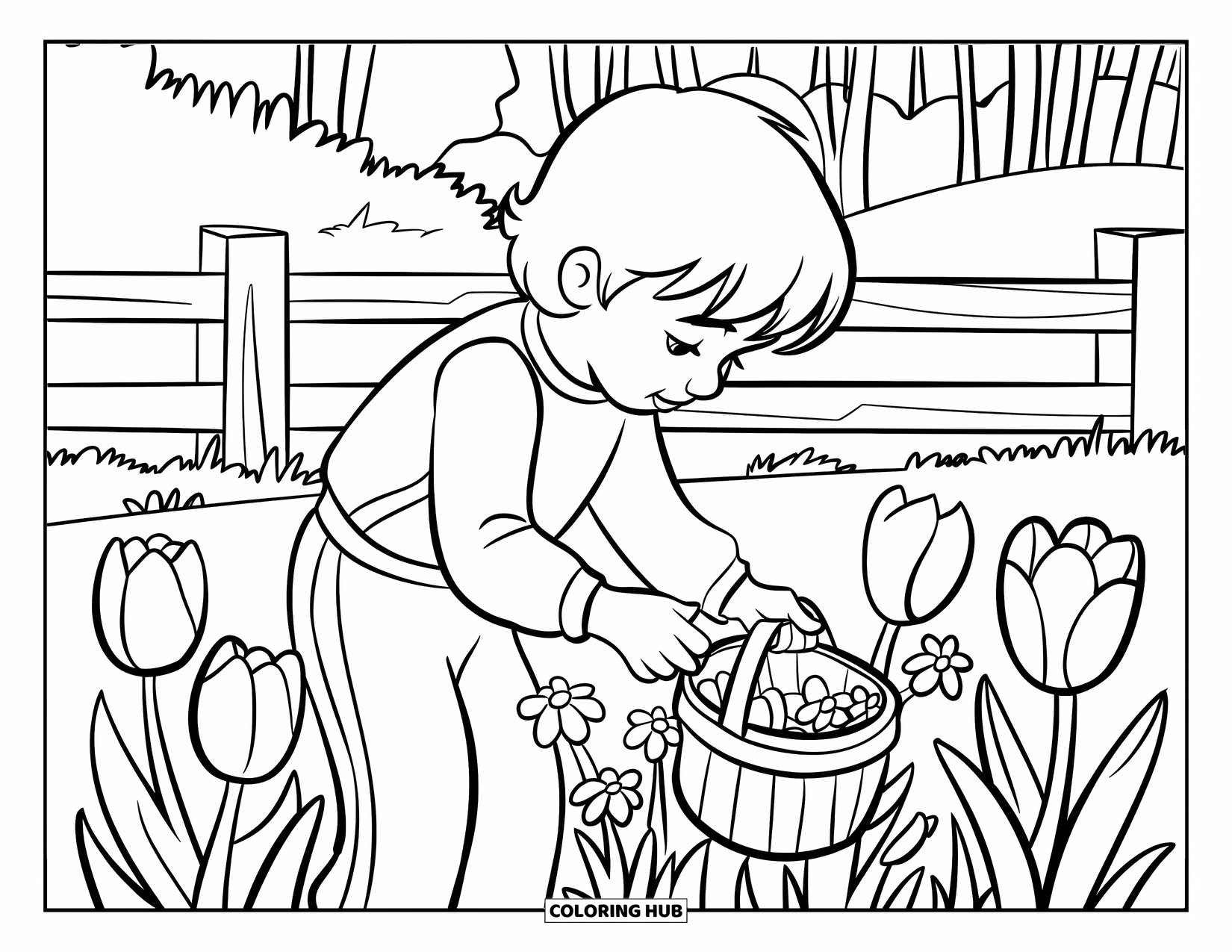 Lente Kleurplaat voor Kinderen: Een kind plukt tulpen en madeliefjes in een vredig weiland met een houten hek in de buurt