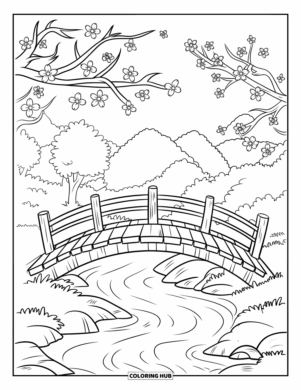 Lente Kleurplaat voor Kinderen: Een houten brug overspant een stromende beek, omlijst door kersenbloesembomen