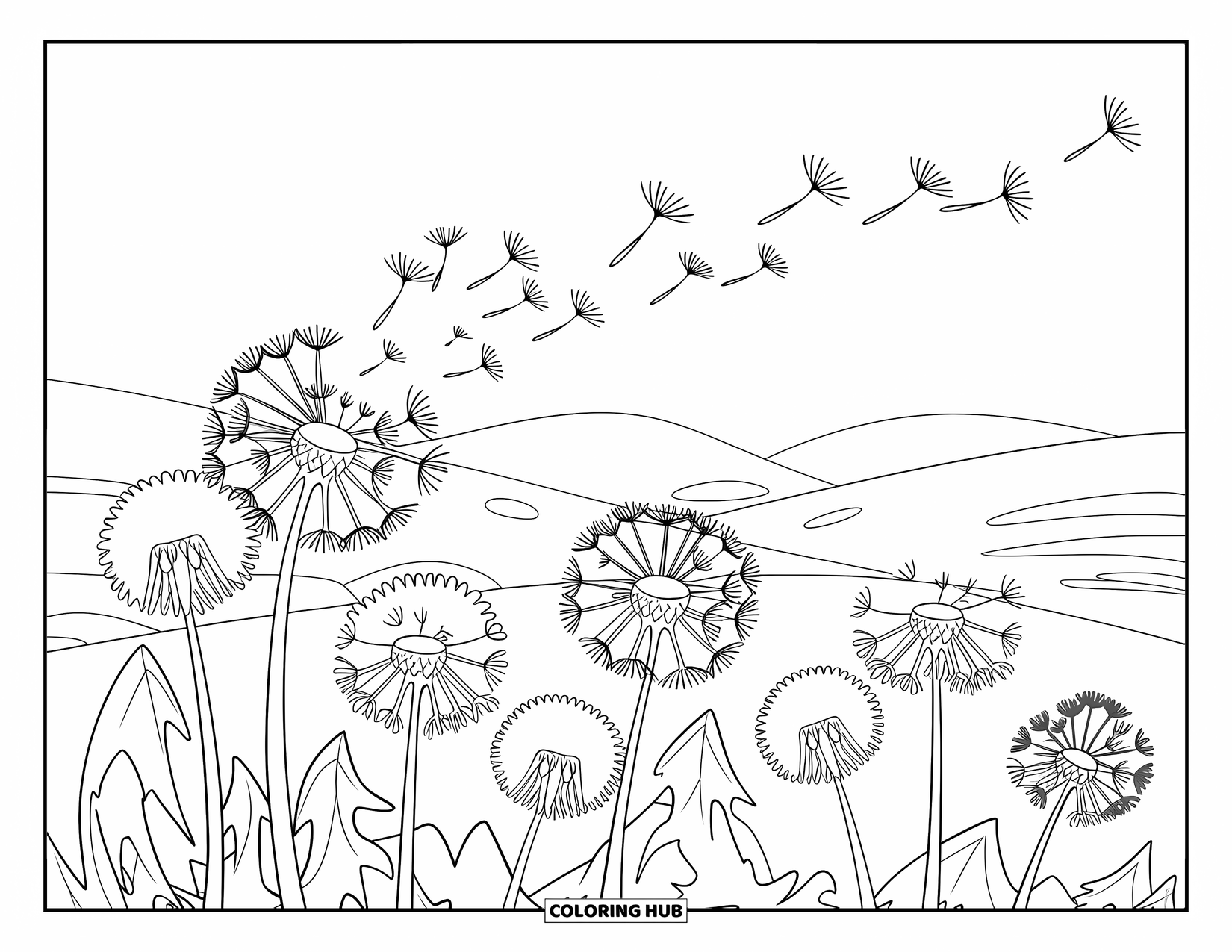Lente Kleurplaat voor Kinderen: Pluizige paardenbloemen verspreiden hun zaden terwijl de wind zachtjes waait