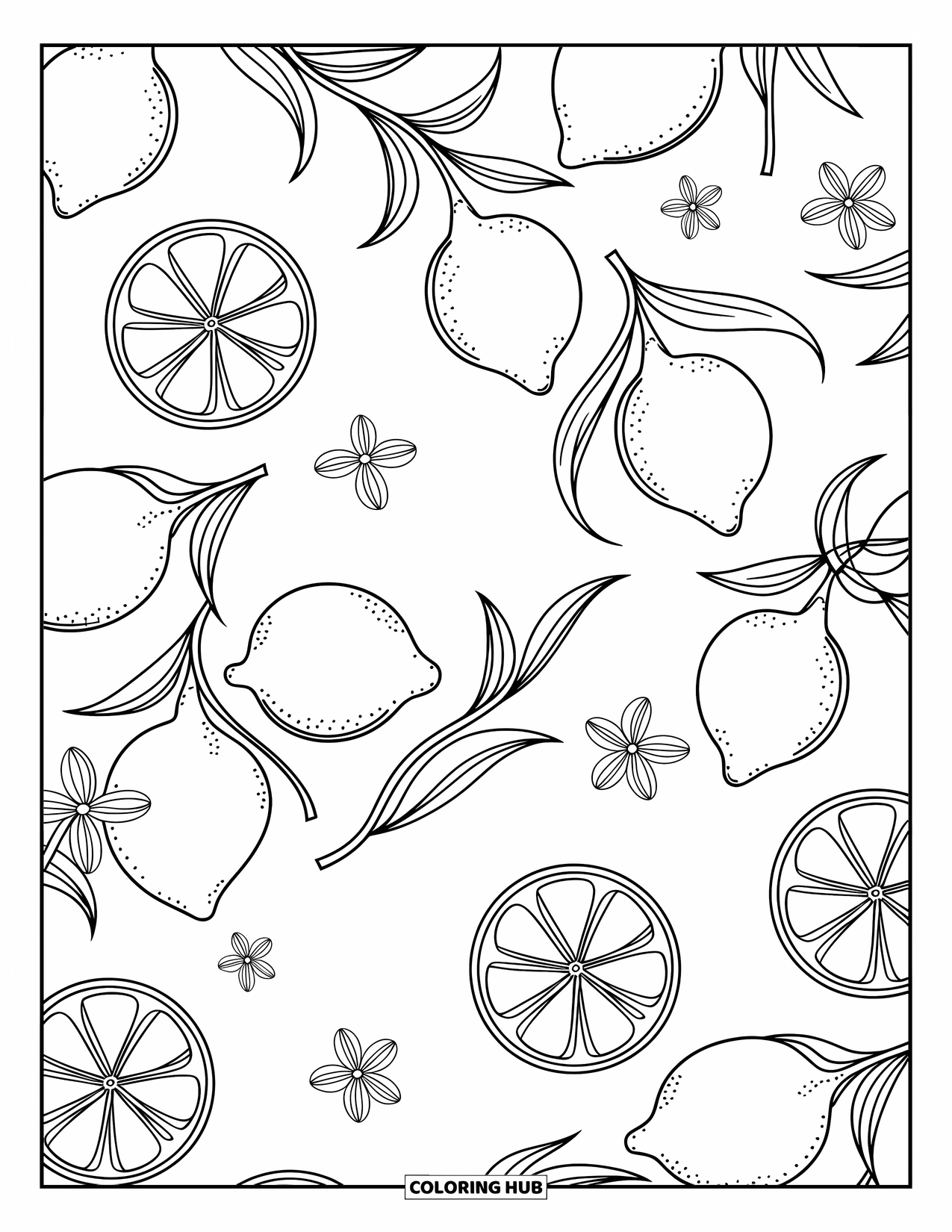 Zomer Kleurplaat voor Volwassenen: Een levendig citrusdesign met citroenschijfjes, krullende wijnranken en kleine bloesems in een gedetailleerd patroon