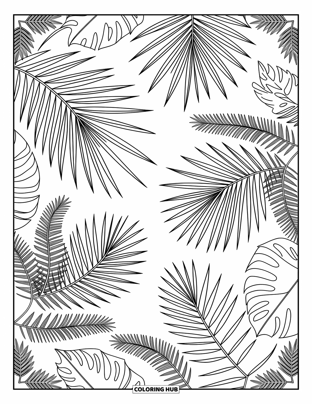 Zomer Kleurplaat voor Volwassenen: Een levendige weergave van tropische bladeren met vloeiende palmbladeren, monstera en varens