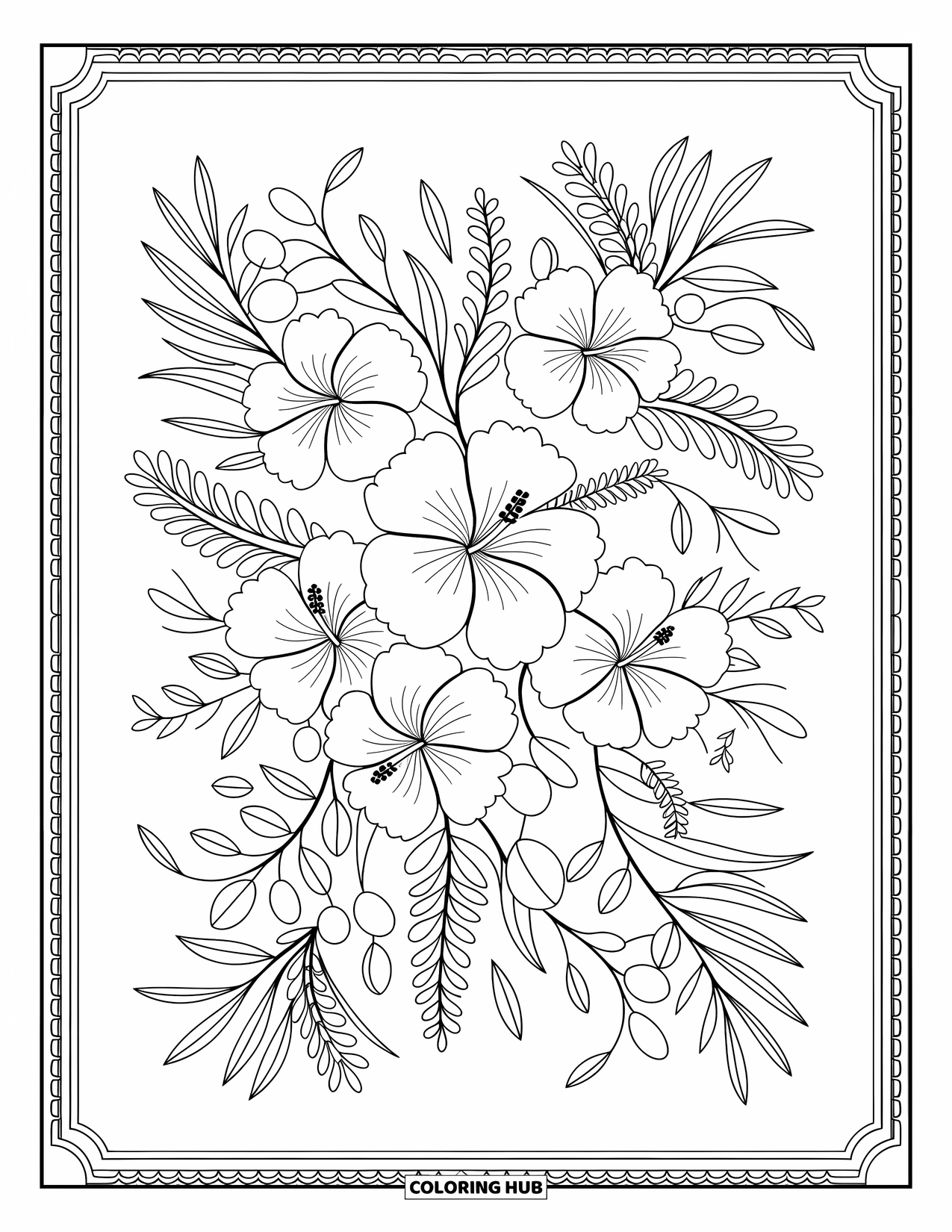 Zomer Kleurplaat voor Volwassenen: Een mediterraan bloemendesign met hibiscus, bougainvillea en olijftakken verweven in een elegant patroon