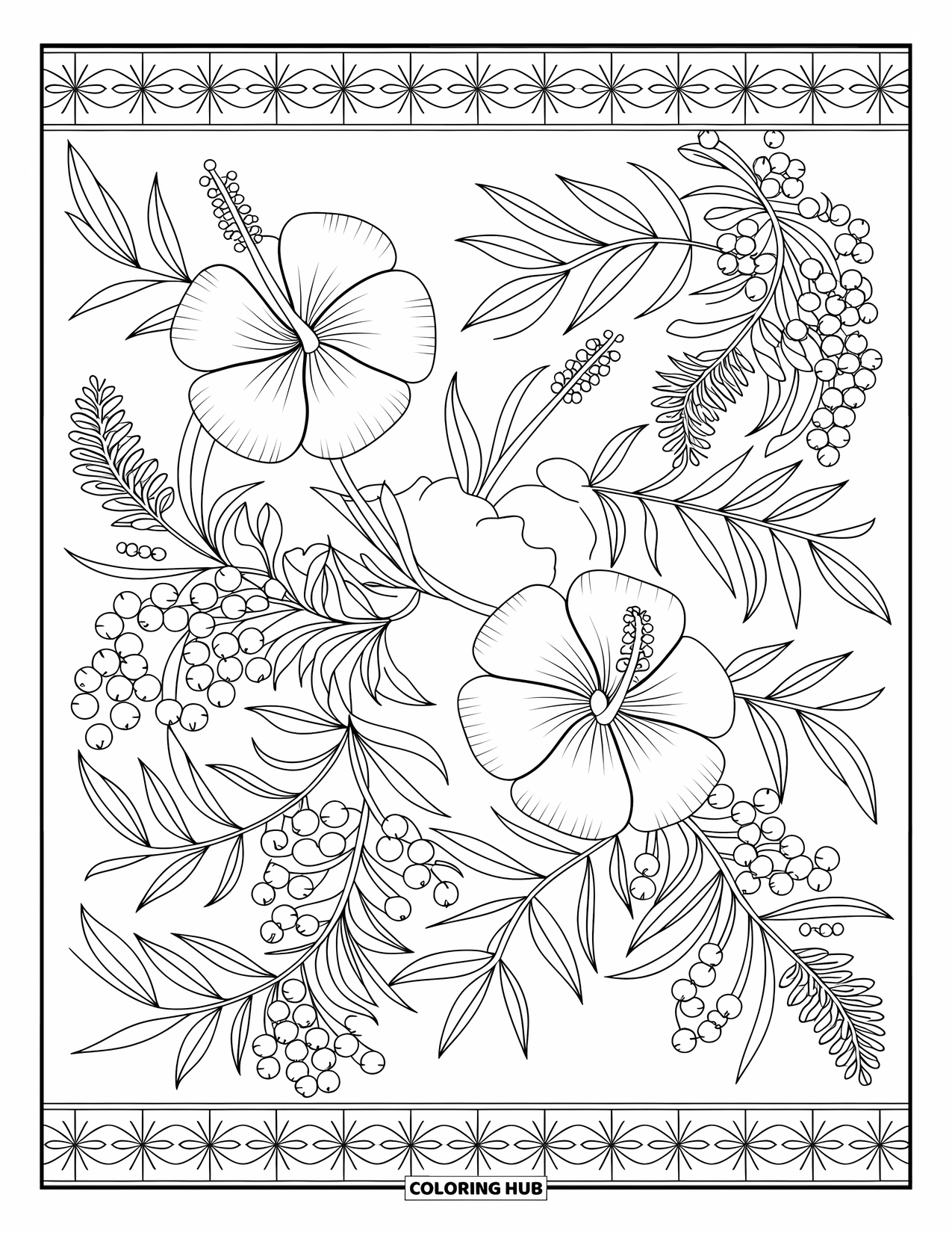 Zomer Kleurplaat voor Volwassenen: Een mediterraan bloemendesign met hibiscus, bougainvillea en olijftakken verweven