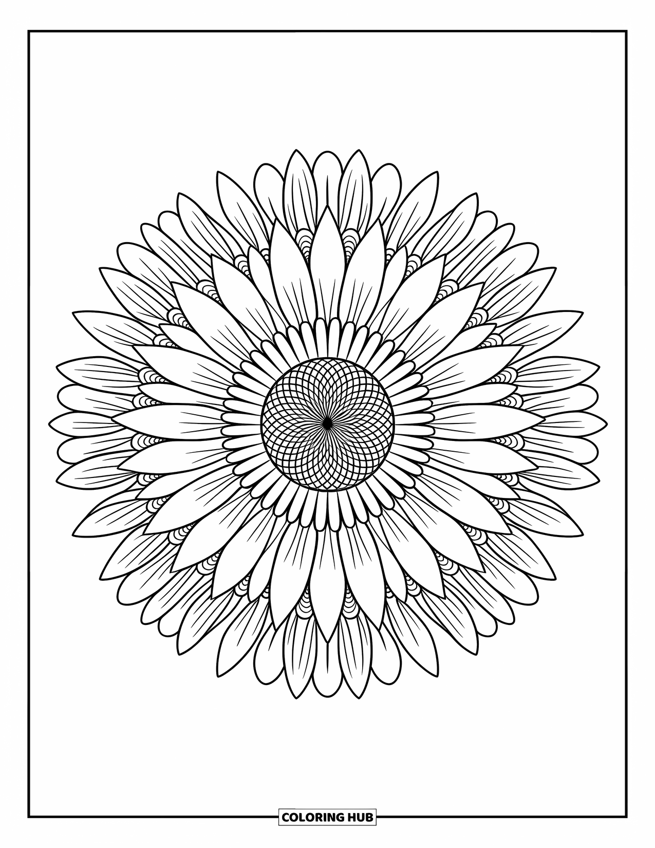 Zomer Kleurplaat voor Volwassenen: Een zonnebloem- en madeliefjesmandala straalt met delicate bloemblaadjes en ingewikkelde bloemendetails
