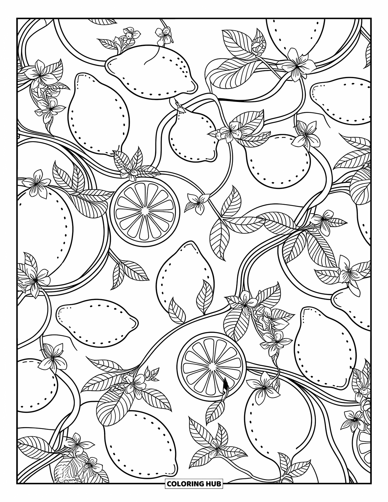 Zomer Kleurplaat voor Volwassenen: Een wervelend citruspatroon met schijfjes citroen, kleine bloesems en krullende wijnranken