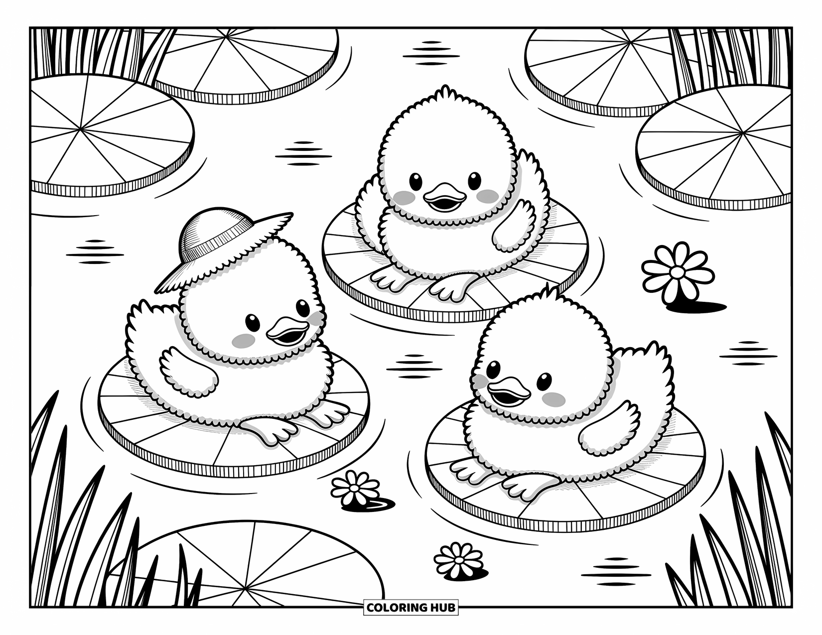 Zomer Kleurplaat voor Volwassenen: Een trio eendjes luieren op leliebladeren en genieten van een vredige vijver