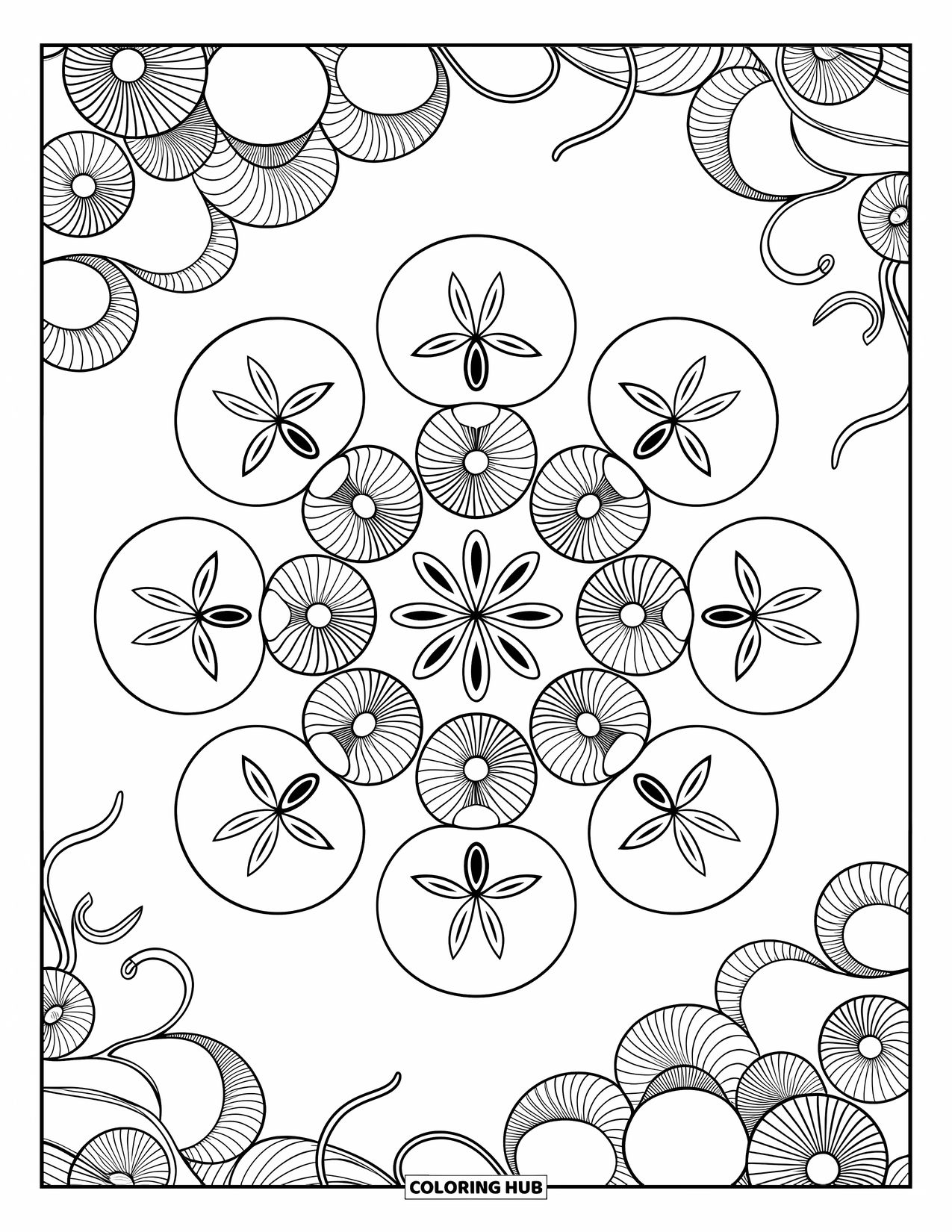 Zomer Kleurplaat voor Volwassenen: Een elegant patroon van spiraalvormige schelpen en zanddollars komt samen in een boeiende mandala