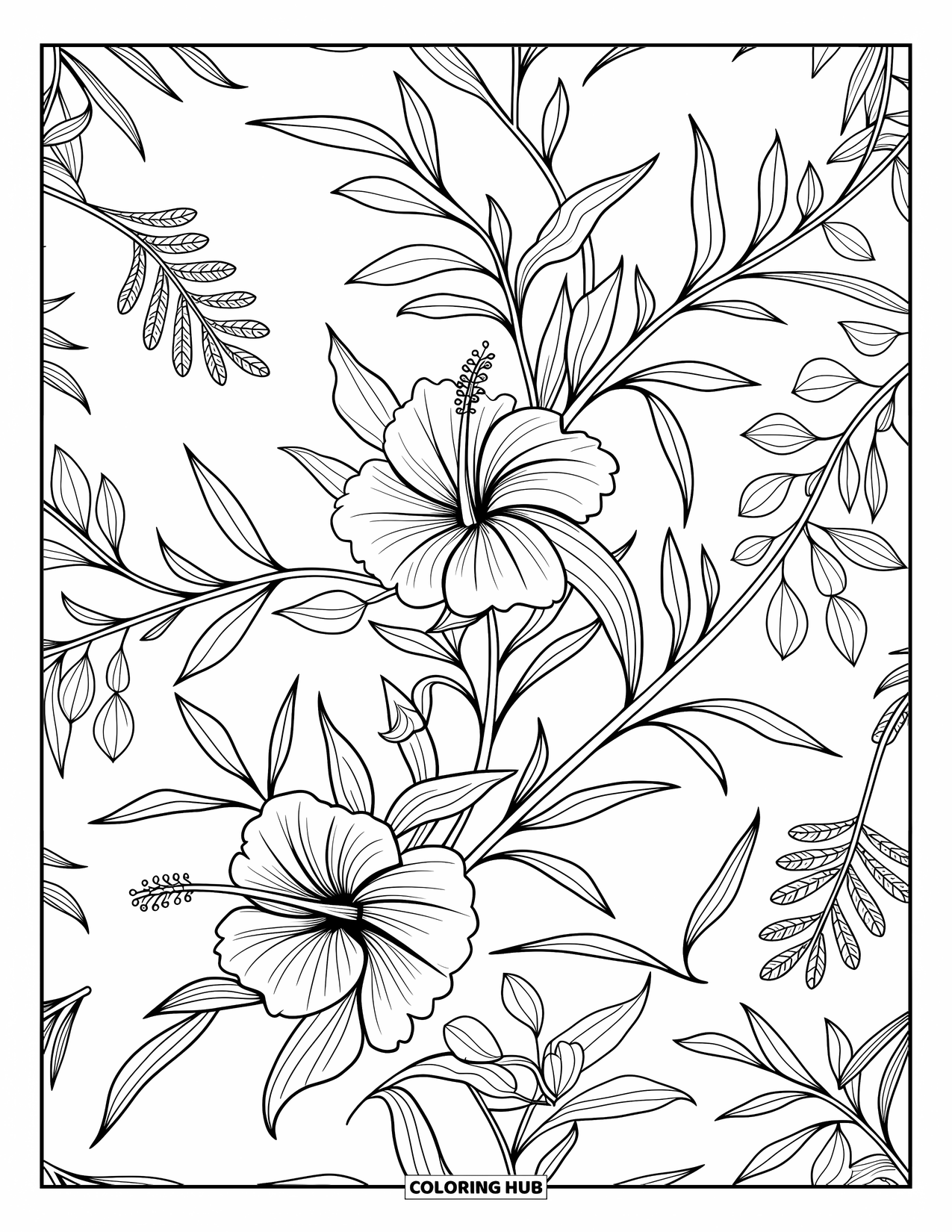 Zomer Kleurplaat voor Volwassenen: Hibiscus, bougainvillea en olijftakken creëren een charmant mediterraan bloemenpatroon