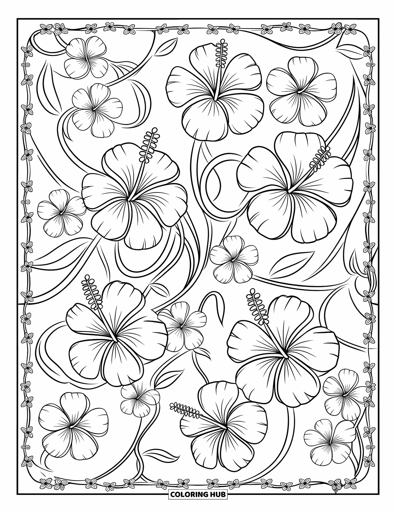 Zomer Kleurplaat voor Volwassenen: Hibiscus, plumeria en verstrengelde wijnranken creëren een gedetailleerd en rustgevend bloemenpatroon