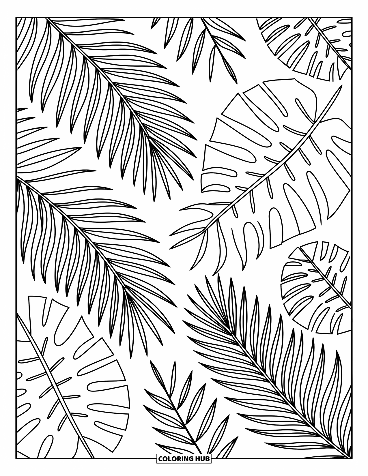 Zomer Kleurplaat voor Volwassenen: Palmbladeren, monstera en varens verstrengelen zich in een prachtig en rustgevend bladpatroon