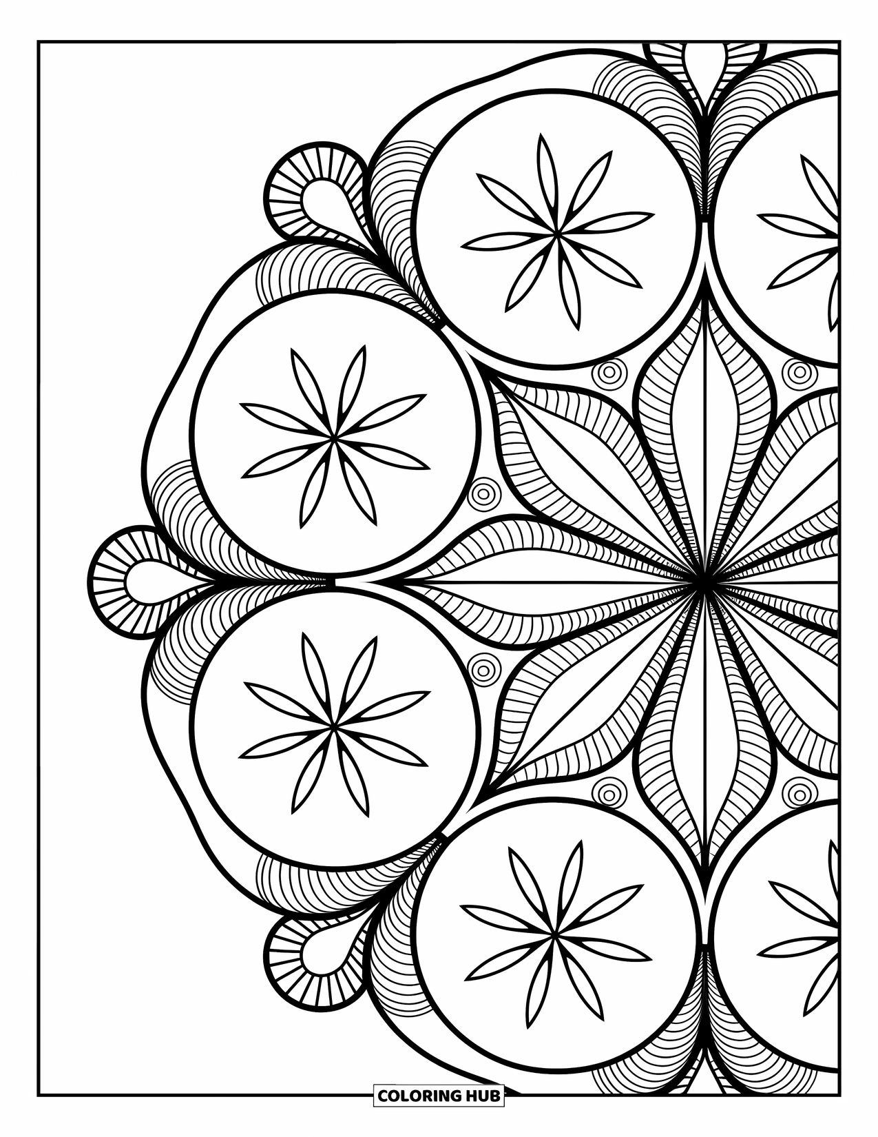 Zomer Kleurplaat voor Volwassenen: Schelpen en zanddollars vormen een rustgevende mandala met ingewikkelde cirkelvormige ontwerpen