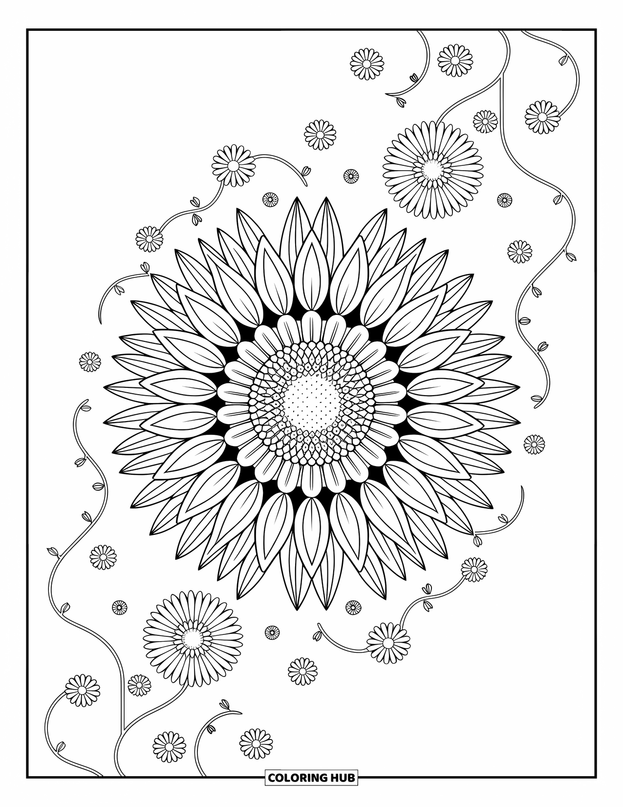 Zomer Kleurplaat voor Volwassenen: Zonnebloemen en madeliefjes bloeien in een prachtig gedetailleerde mandala met wervelende bloemaccenten