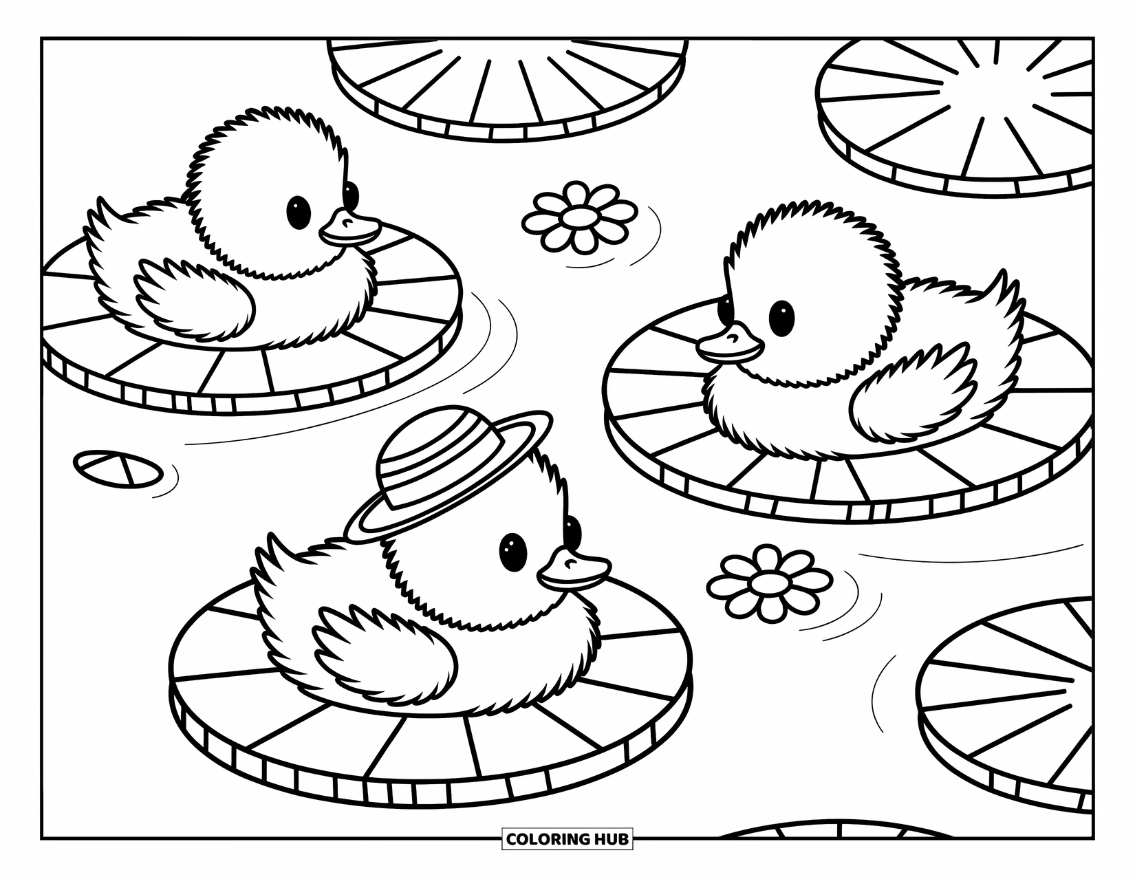 Zomer Kleurplaat voor Volwassenen: Drie pluizige eendjes drijven op leliebladeren, waarvan er één een klein strohoedje draagt