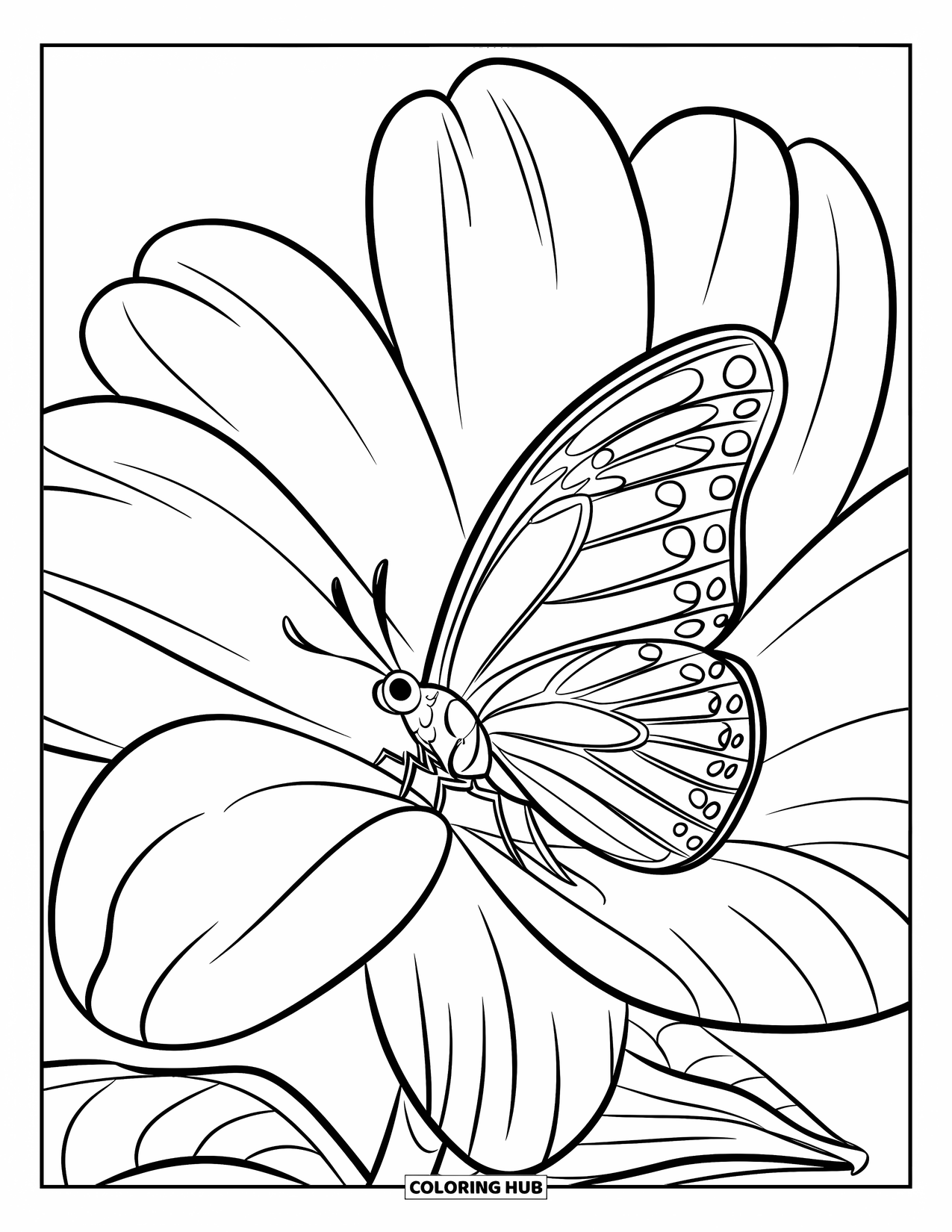Zomer Kleurplaat voor Kinderen: Een delicate vlinder rust op een grote tropische bloem met opvallende bloemblaadjes