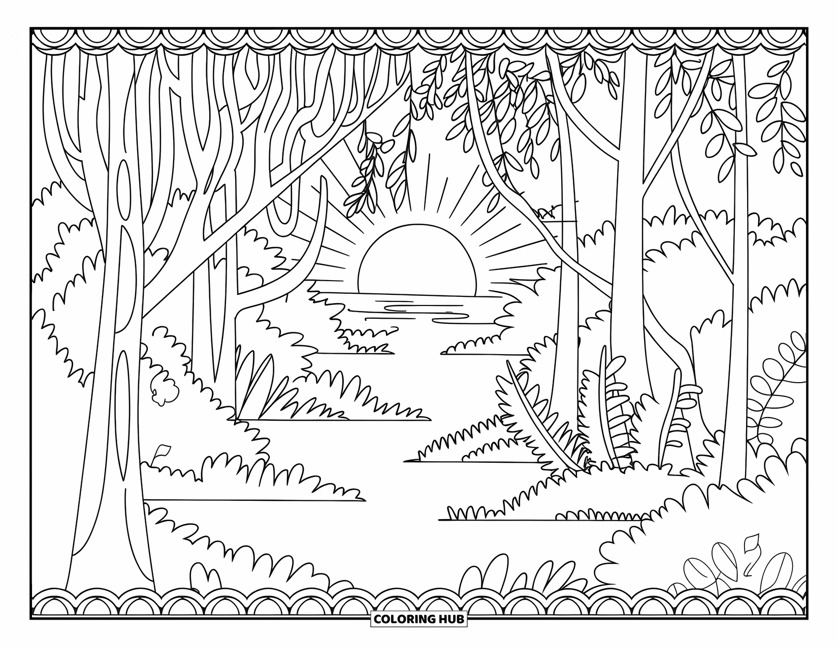 Desen de colorat cu apus de soare pentru adulți: Lumina filtrează prin copaci înalți într-o pădure liniștită în timp ce soarele apune