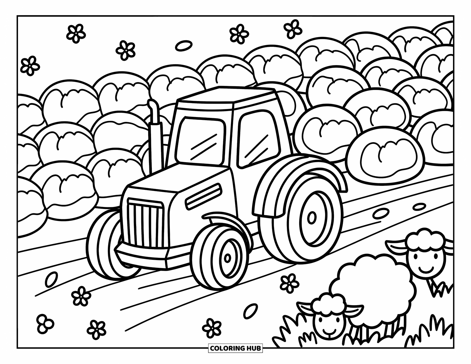 Dibujo de tractor para colorear para adultos: Un tractor alegre ara cerca de hileras de repollos con ovejas juguetonas al otro lado