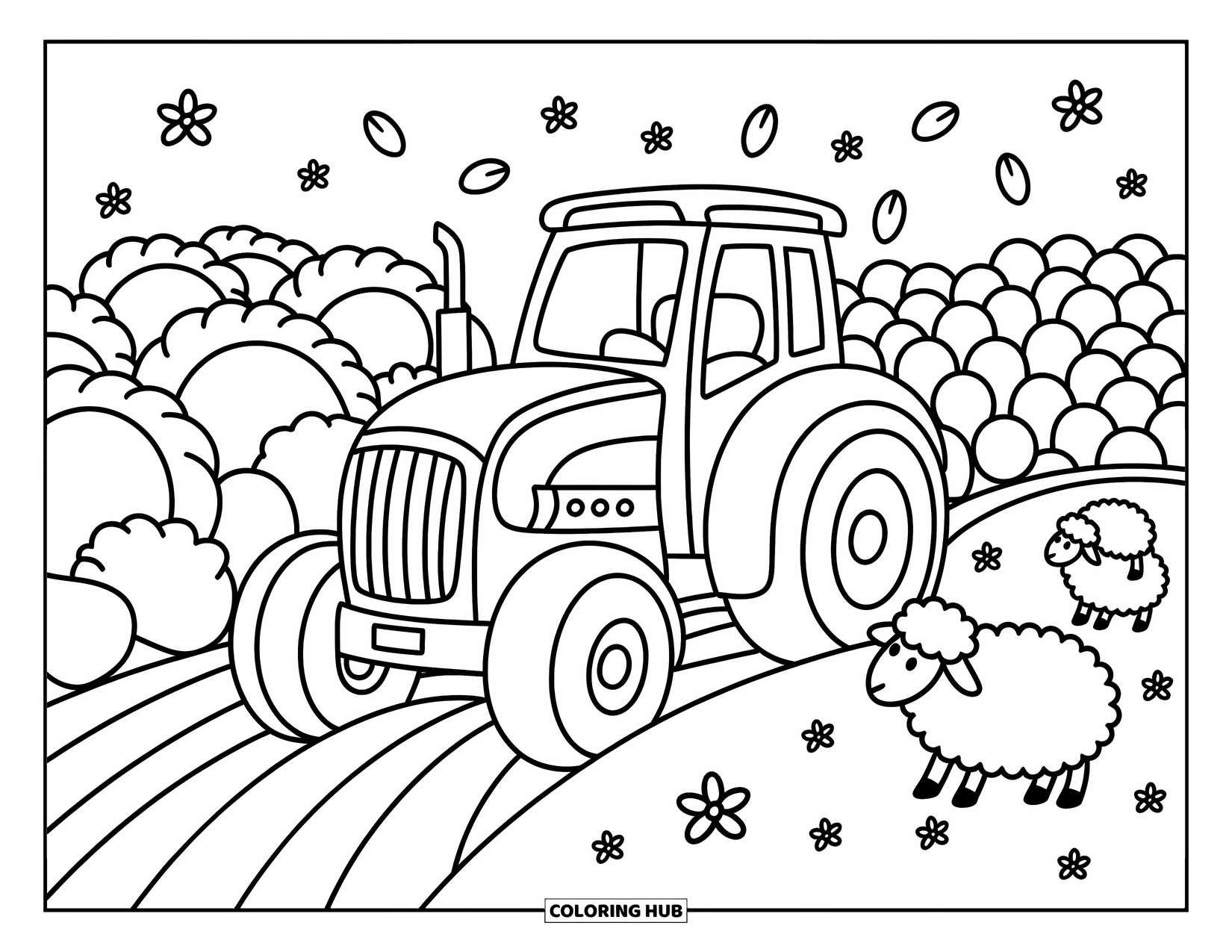 Dibujo de tractor para colorear para adultos: Un tractor se mueve a través de un campo con repollos gigantes y ovejas felices cerca