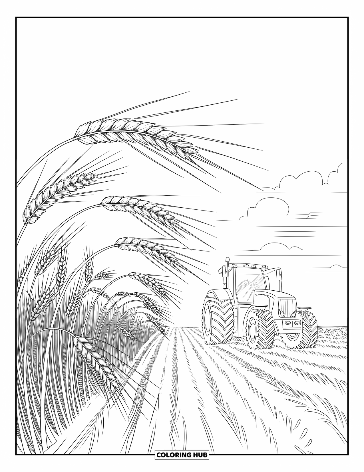 Dibujo de tractor para colorear para niños: Un tractor se encuentra en medio de un campo de trigo bajo un cielo blanco con nubes