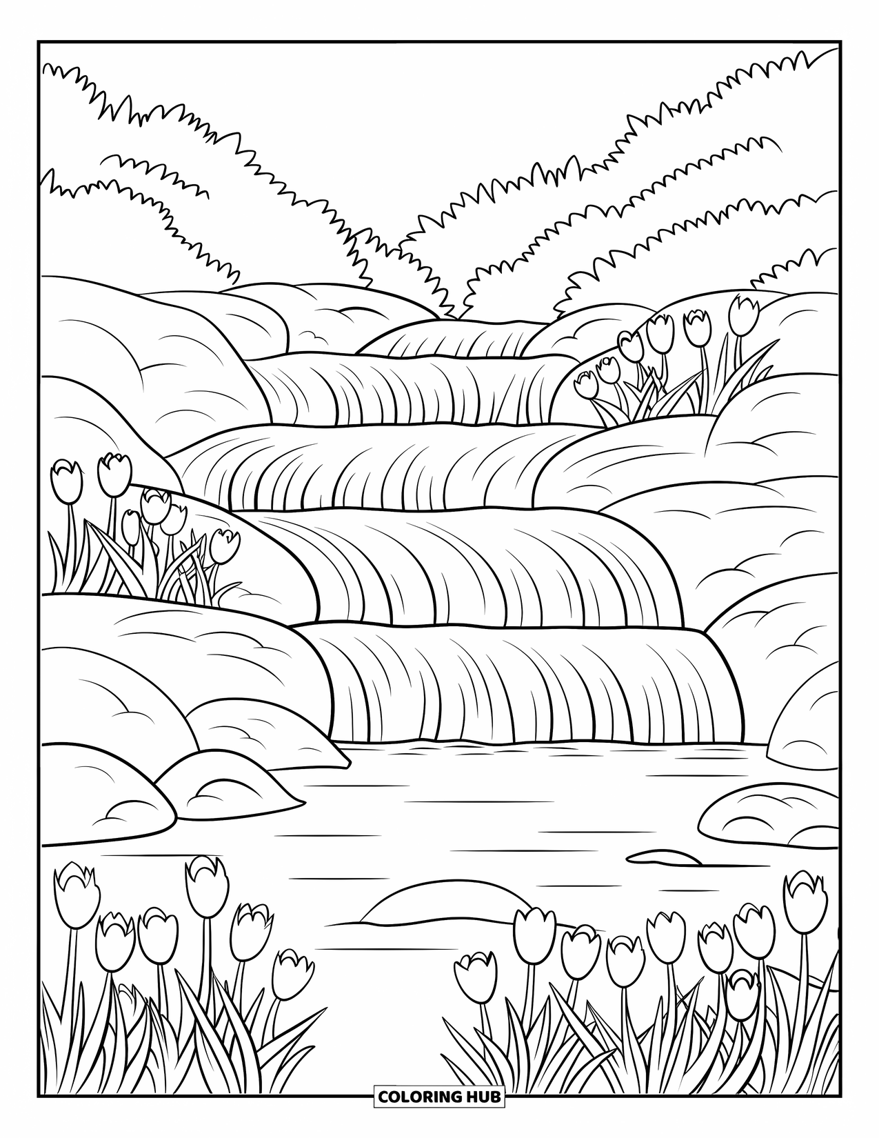Desen de colorat cu lalele pentru adulți: O cascadă curge peste stânci, înconjurată de lalele și verdeață