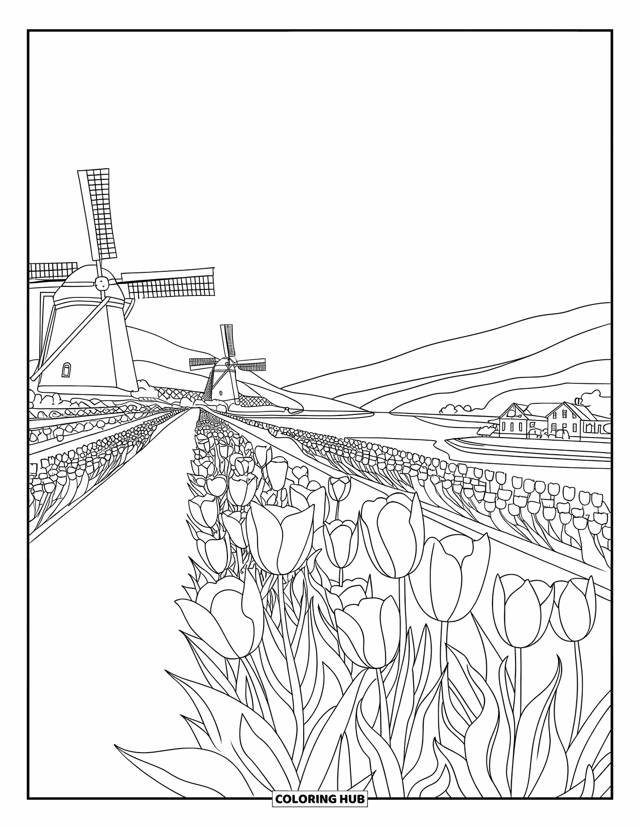 Desen de colorat cu lalele pentru adulți: Câmpuri de lalele duc la mori de vânt sub un cer senin, într-o scenă olandeză