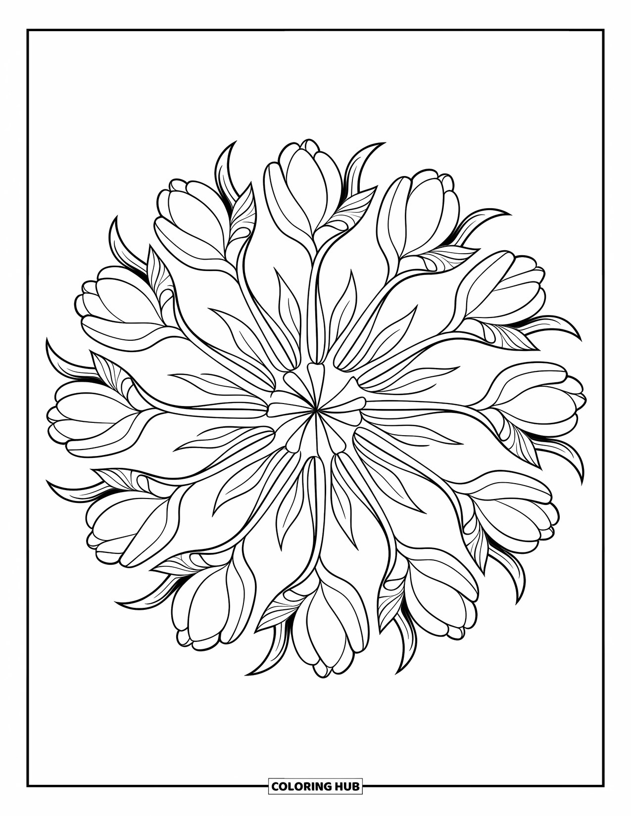 Desen de colorat cu lalele pentru adulți: Petalele de lalea și vârtejurile formează o mandală elaborată, cu contururi îndrăznețe