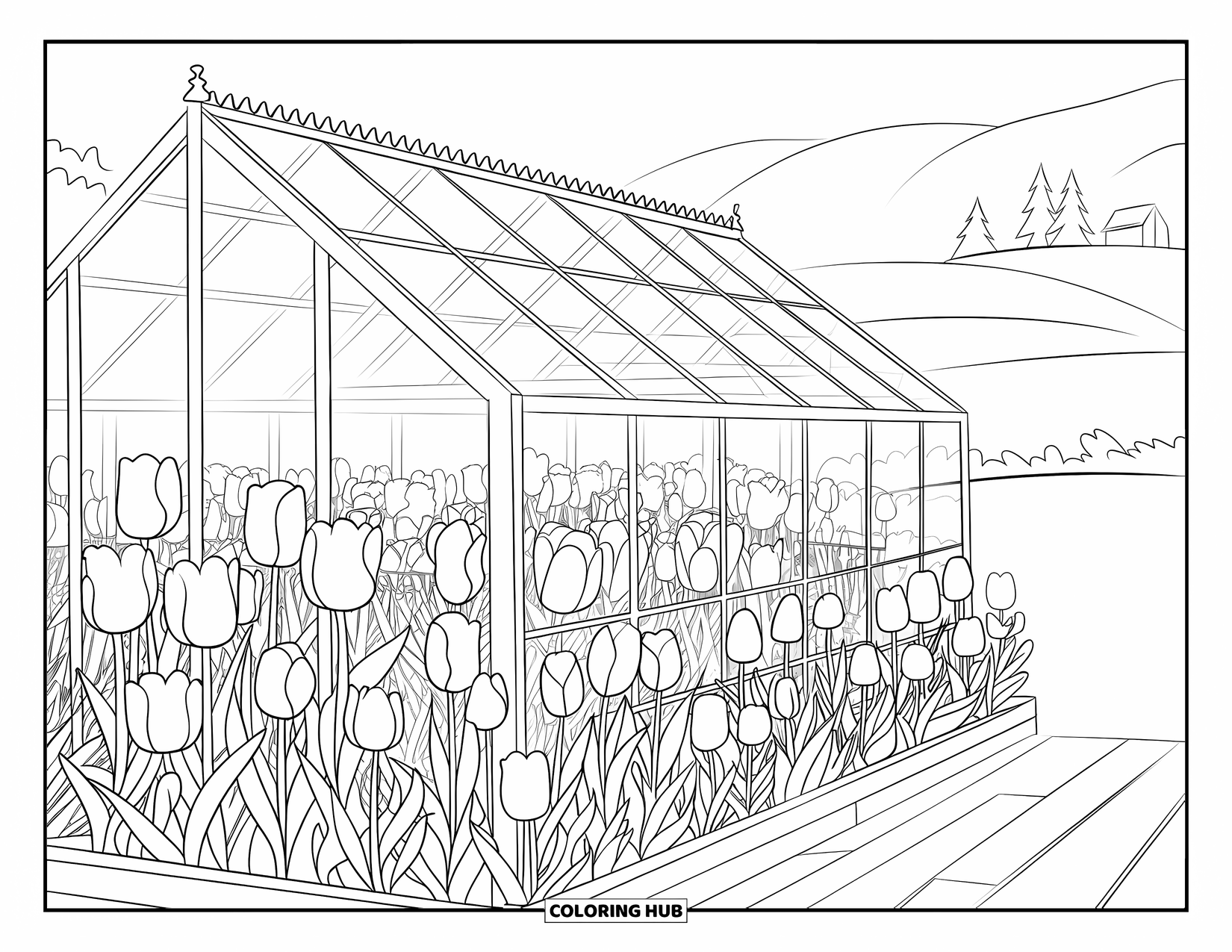 Desen de colorat cu lalele pentru adulți: Lalele înfloresc într-o seră cu panouri de sticlă, înconjurată de copaci și dealuri