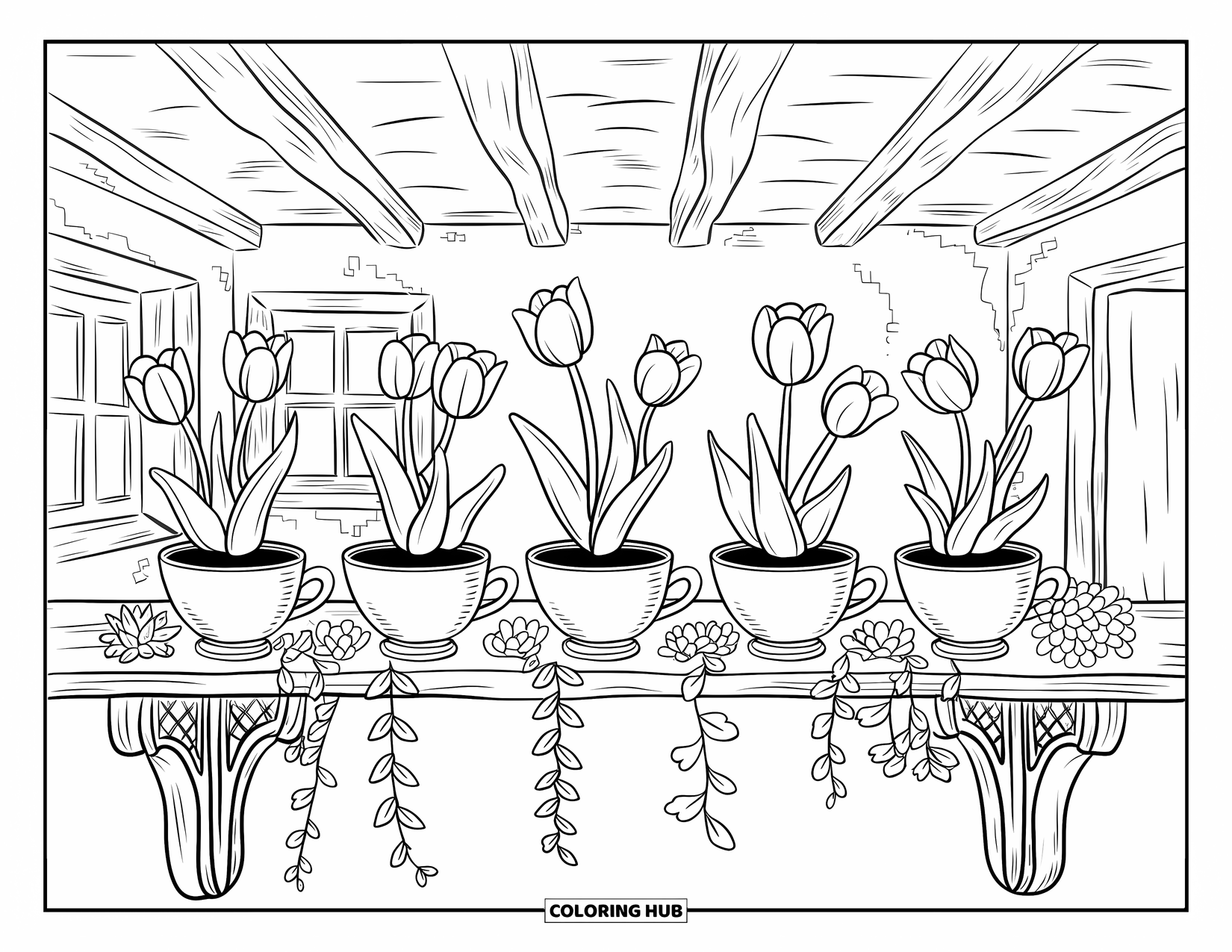 Desen de colorat cu lalele pentru adulți: Lalelele cresc în cești de ceai printre suculente pe un raft de lemn