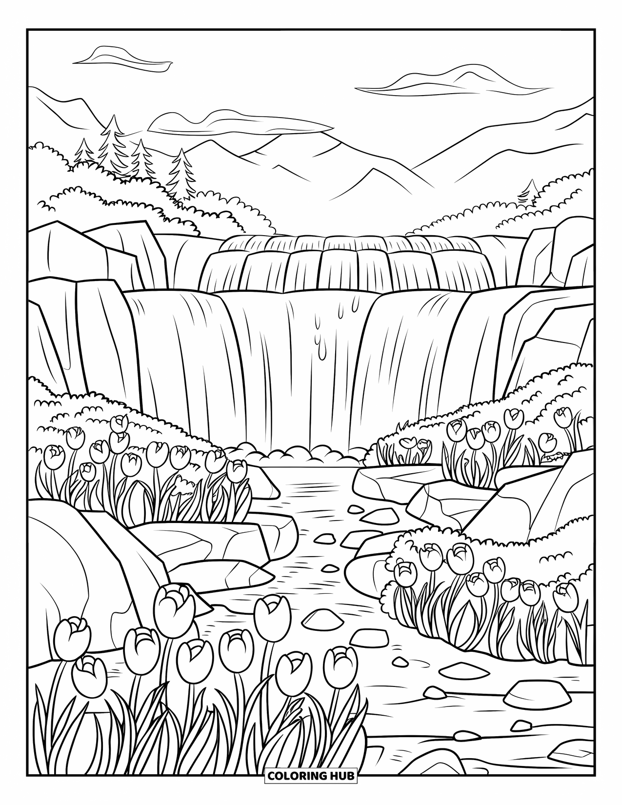 Desen de colorat cu lalele pentru adulți: Lalele sălbatice înfloresc lângă o cascadă care se prăbușește peste stânci