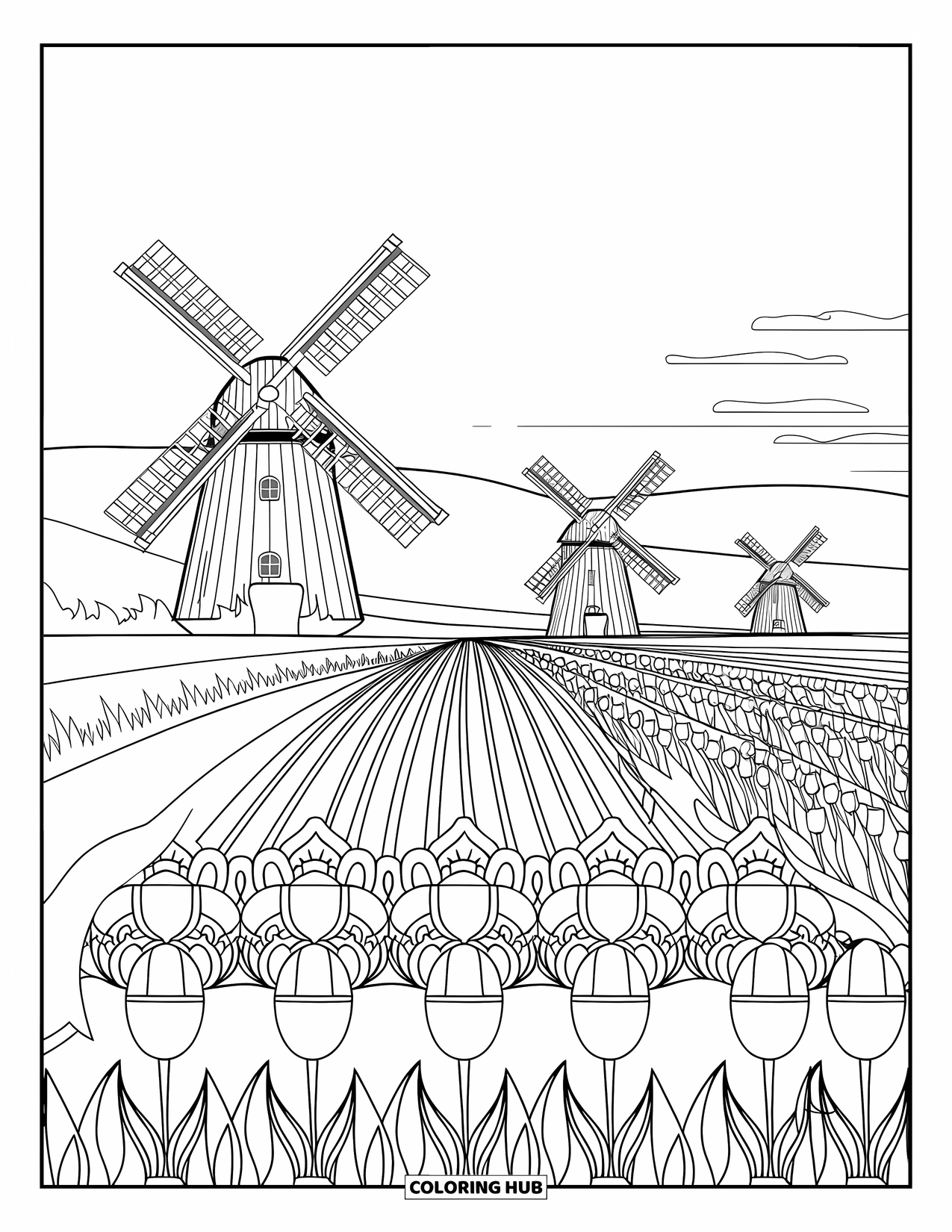 Desen de colorat cu lalele pentru adulți: Mori de vânt supraveghează câmpuri nesfârșite de lalele într-o scenă inspirată de Olanda