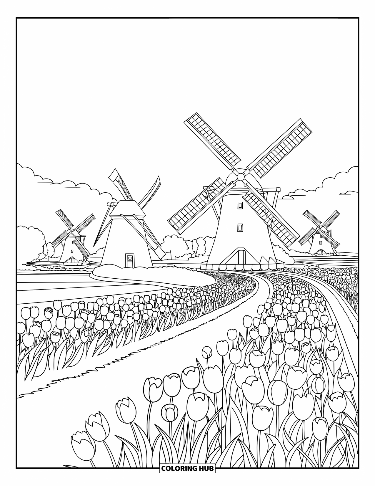Desen de colorat cu lalele pentru adulți: Mori de vânt stau printre câmpurile de lalele într-o zonă rurală olandeză senină