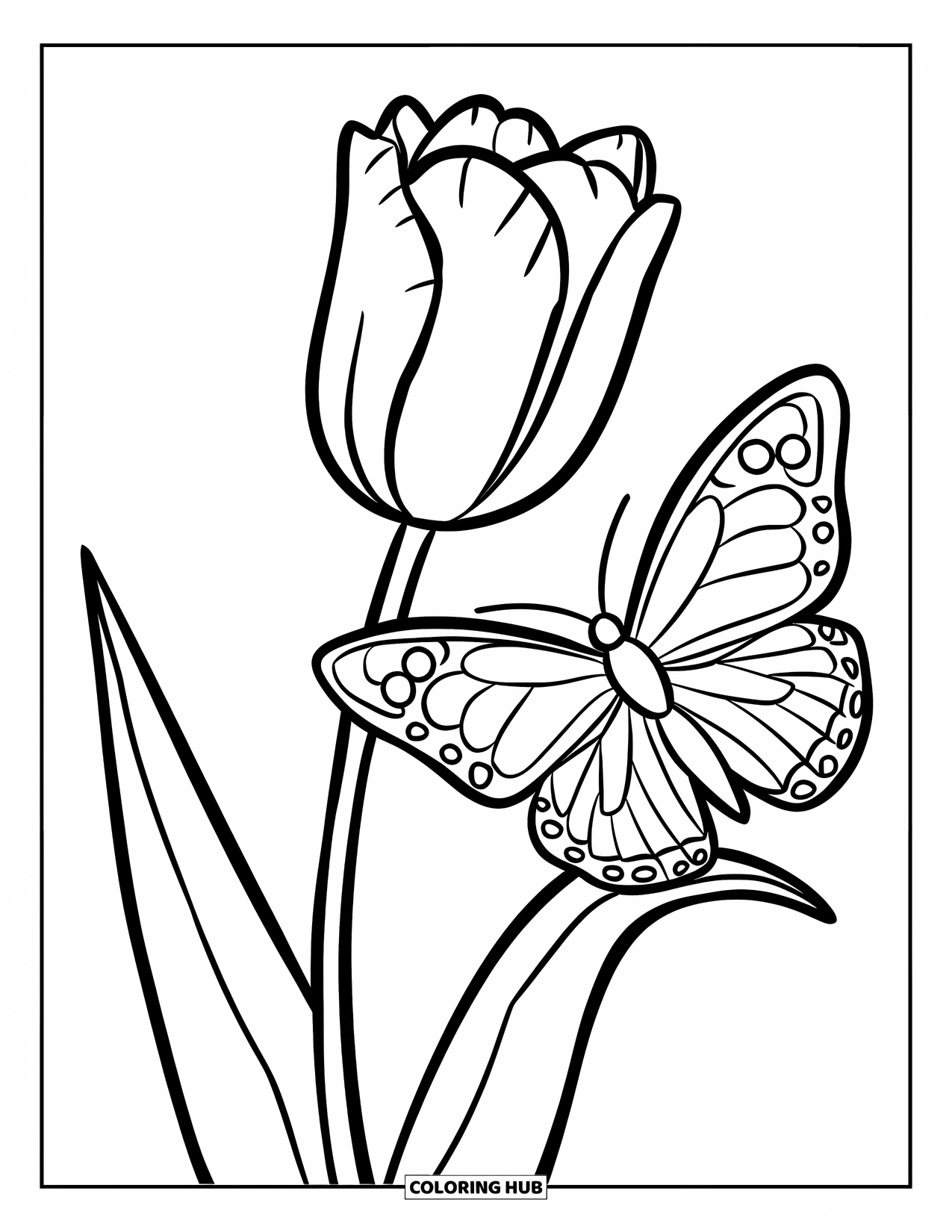 Desen de colorat cu lalele pentru copii: Un fluture se află pe petala unei lalele, cu aripile întinse larg