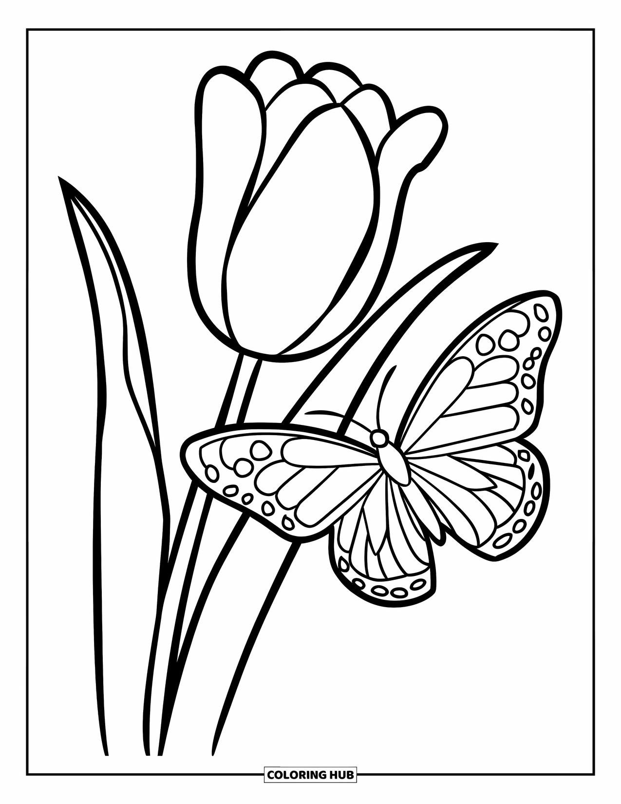 Desen de colorat cu lalele pentru copii: Un fluture se odihnește pe petala unei lalele într-o scenă simplă de grădină