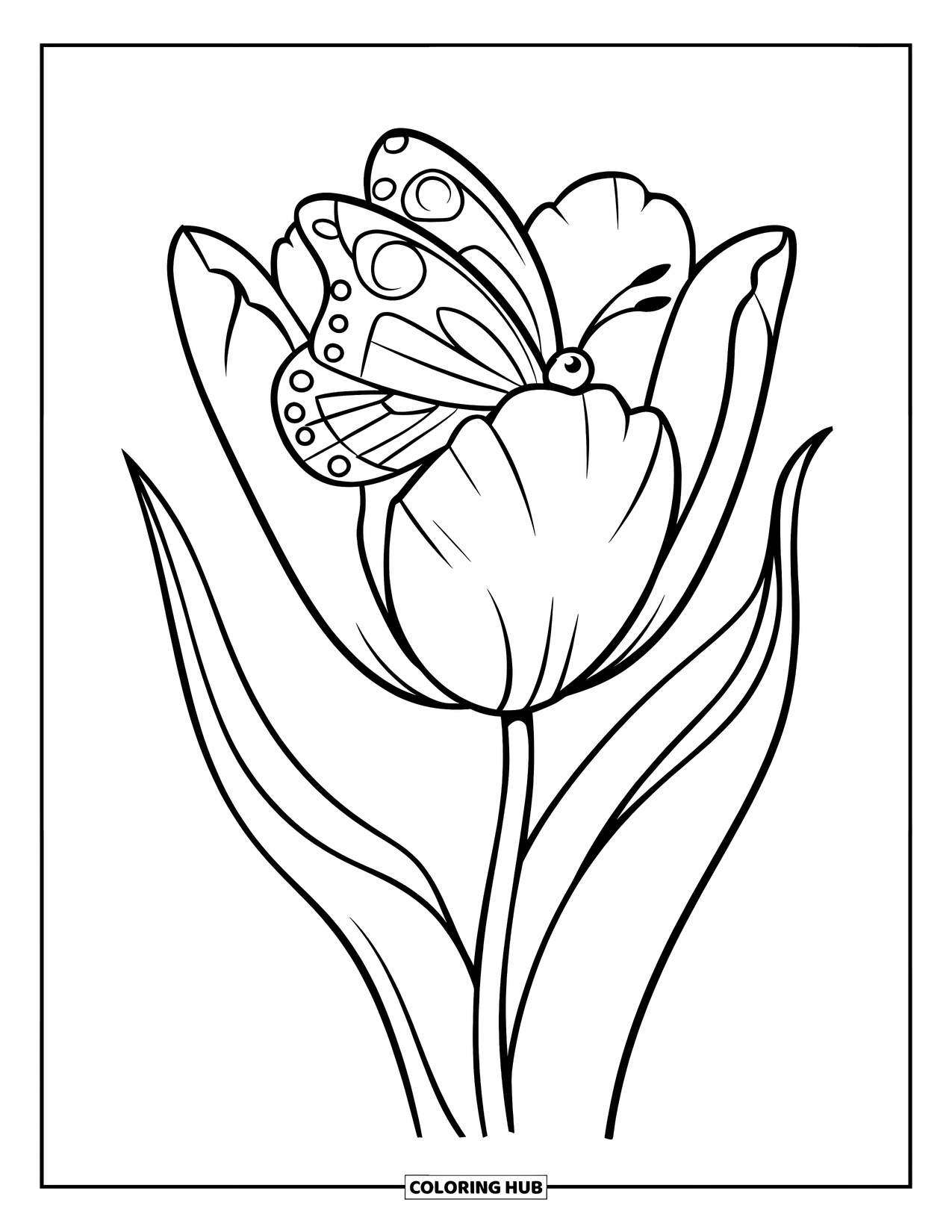 Desen de colorat cu lalele pentru copii: Un fluture stă pe petala unei lalele, înconjurat de frunze verzi