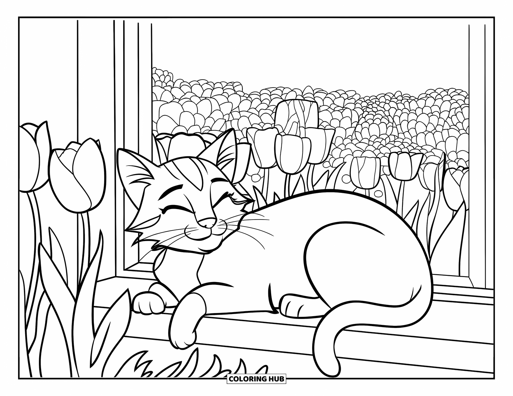 Desen de colorat cu lalele pentru copii: O pisică lenevește pe un pervaz cu vedere la o grădină cu lalele, cu ochii închiși și pașnică