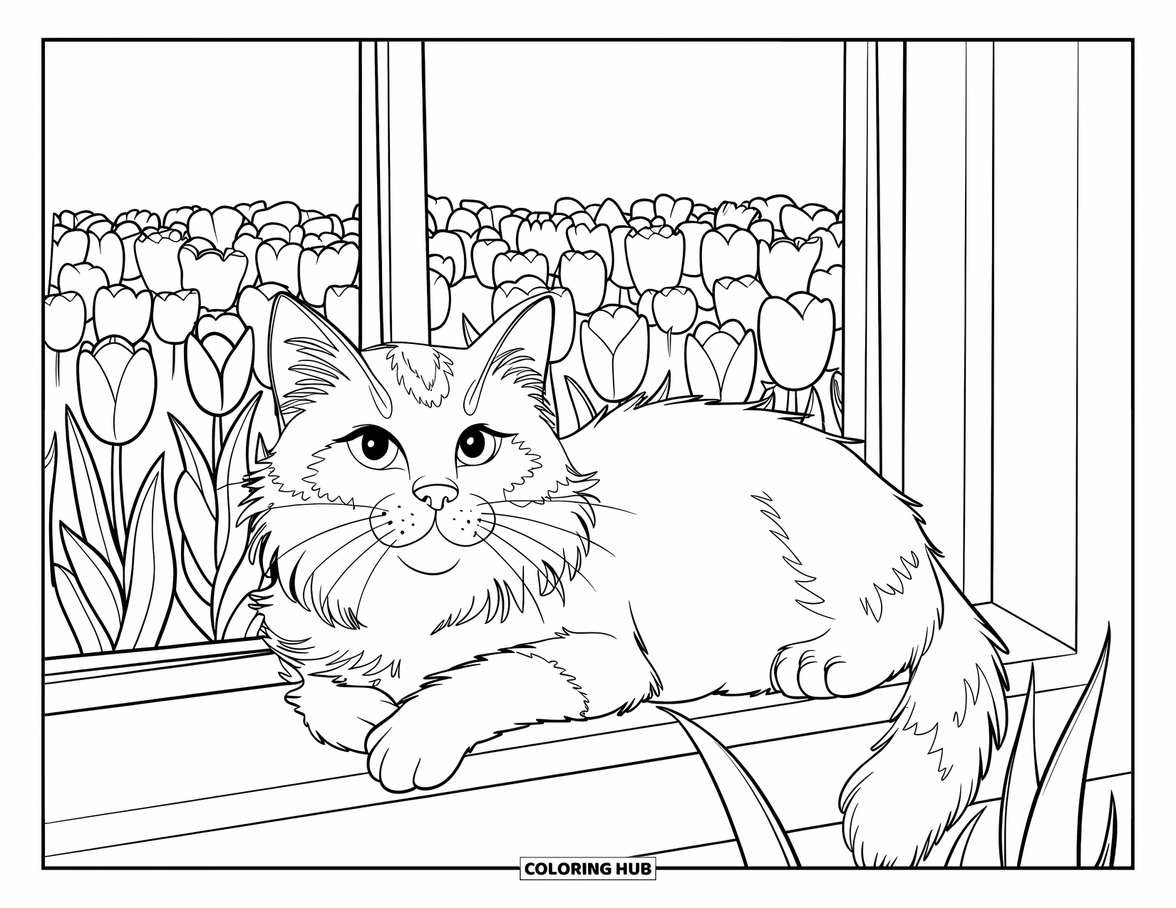 Desen de colorat cu lalele pentru copii: O pisică pufoasă cu ochi strălucitori lenevește lângă lalele pe pervazul unei ferestre de lemn
