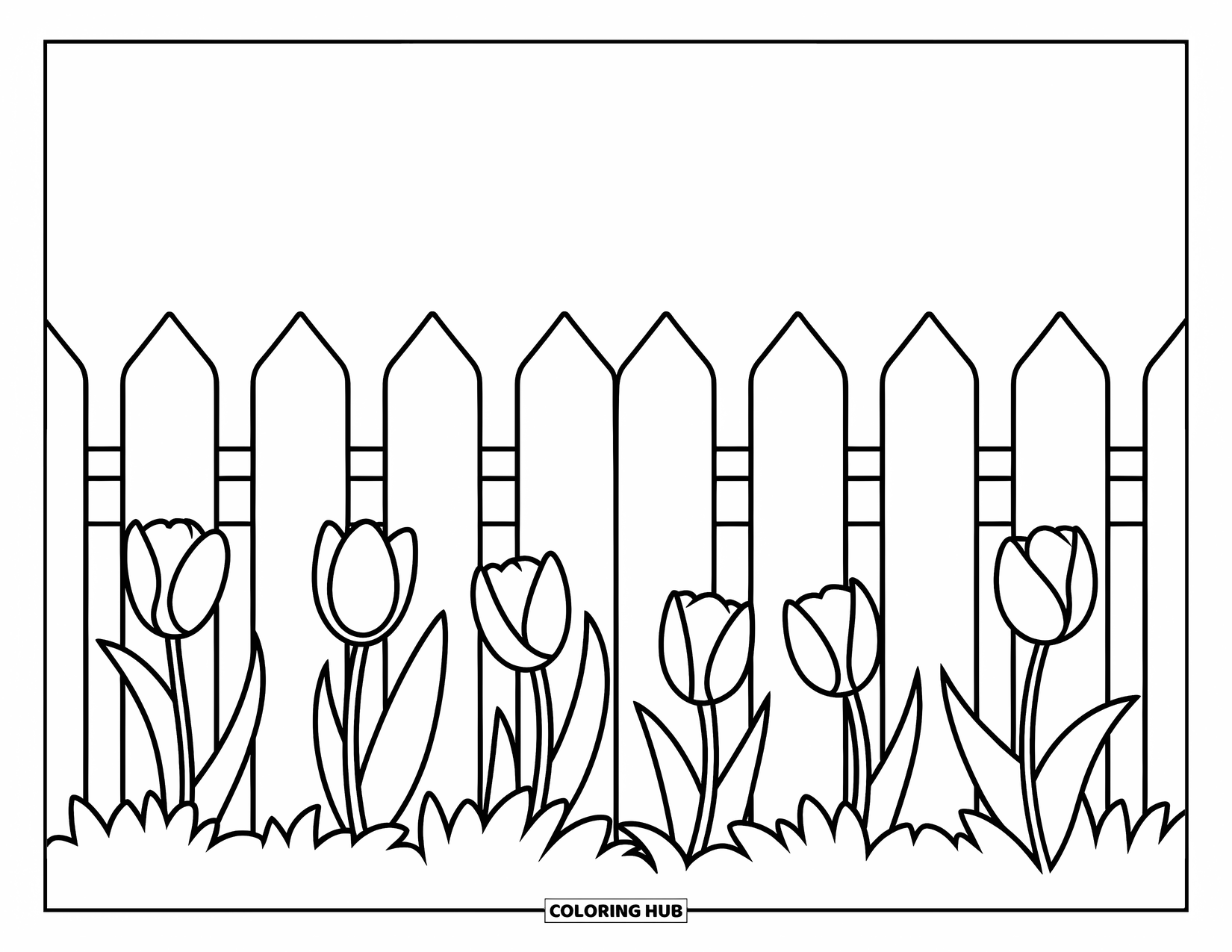 Desen de colorat cu lalele pentru copii: Un rând de lalele stă în fața unui gard simplu