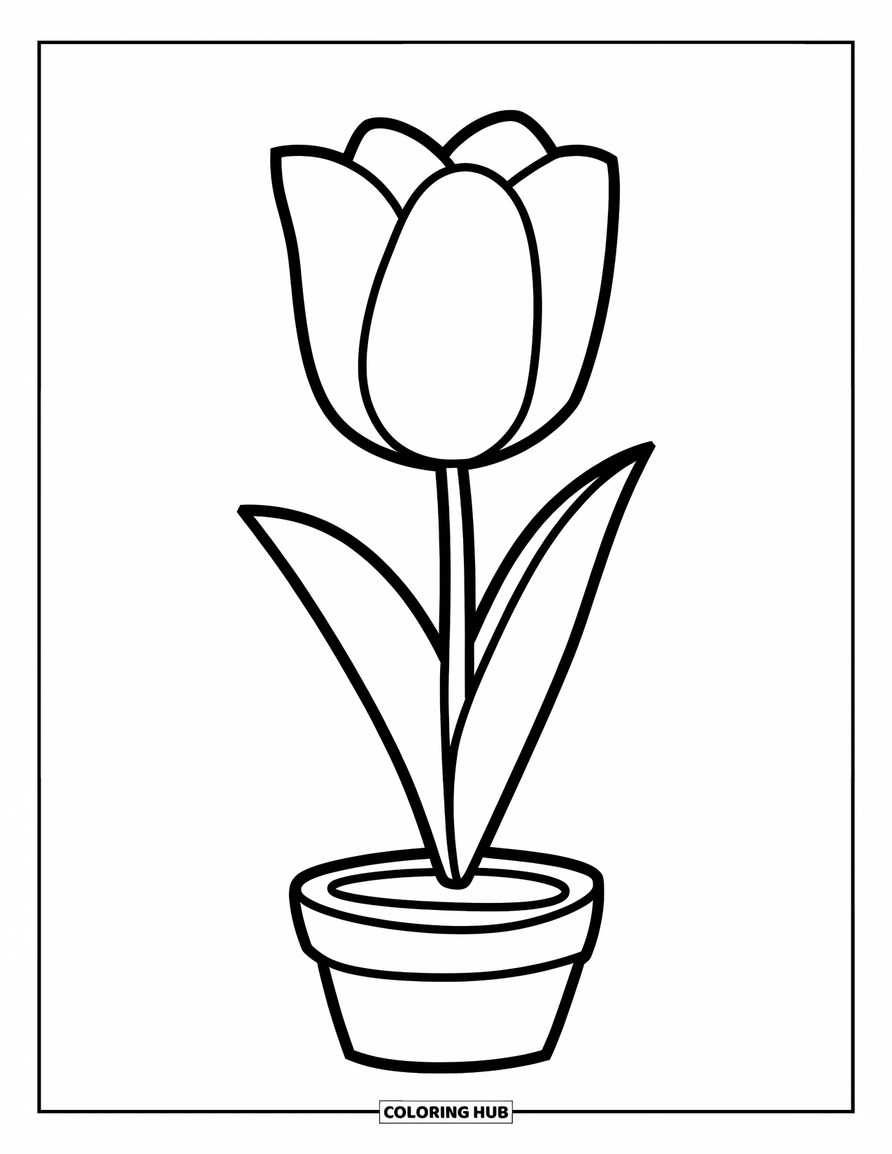Desen de colorat cu lalele pentru copii: O lalea stă singură într-un ghiveci mic cu câteva frunze