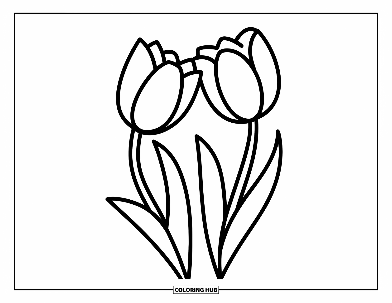 Desen de colorat cu lalele pentru copii: Două lalele se apleacă aproape una de cealaltă, tulpinile lor fiind ușor curbate
