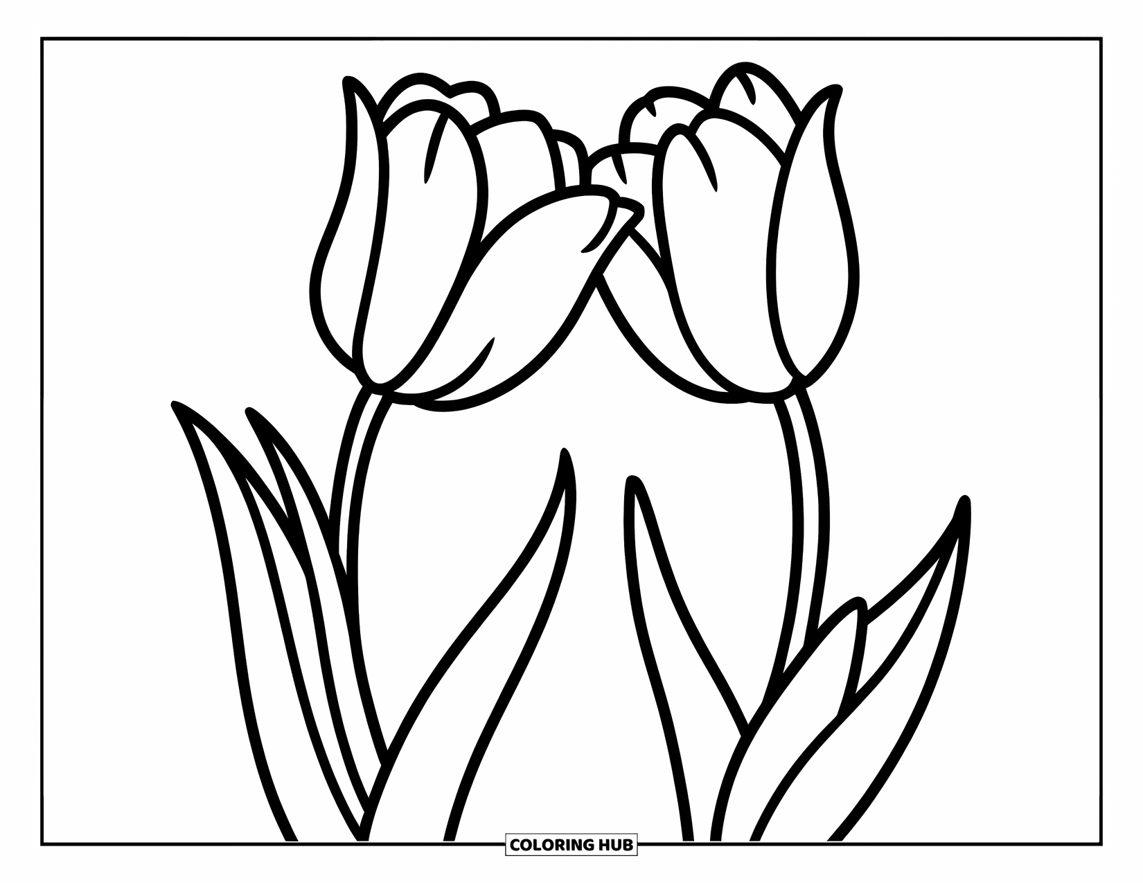 Desen de colorat cu lalele pentru copii: Două lalele se apleacă una spre cealaltă cu petalele atingându-se