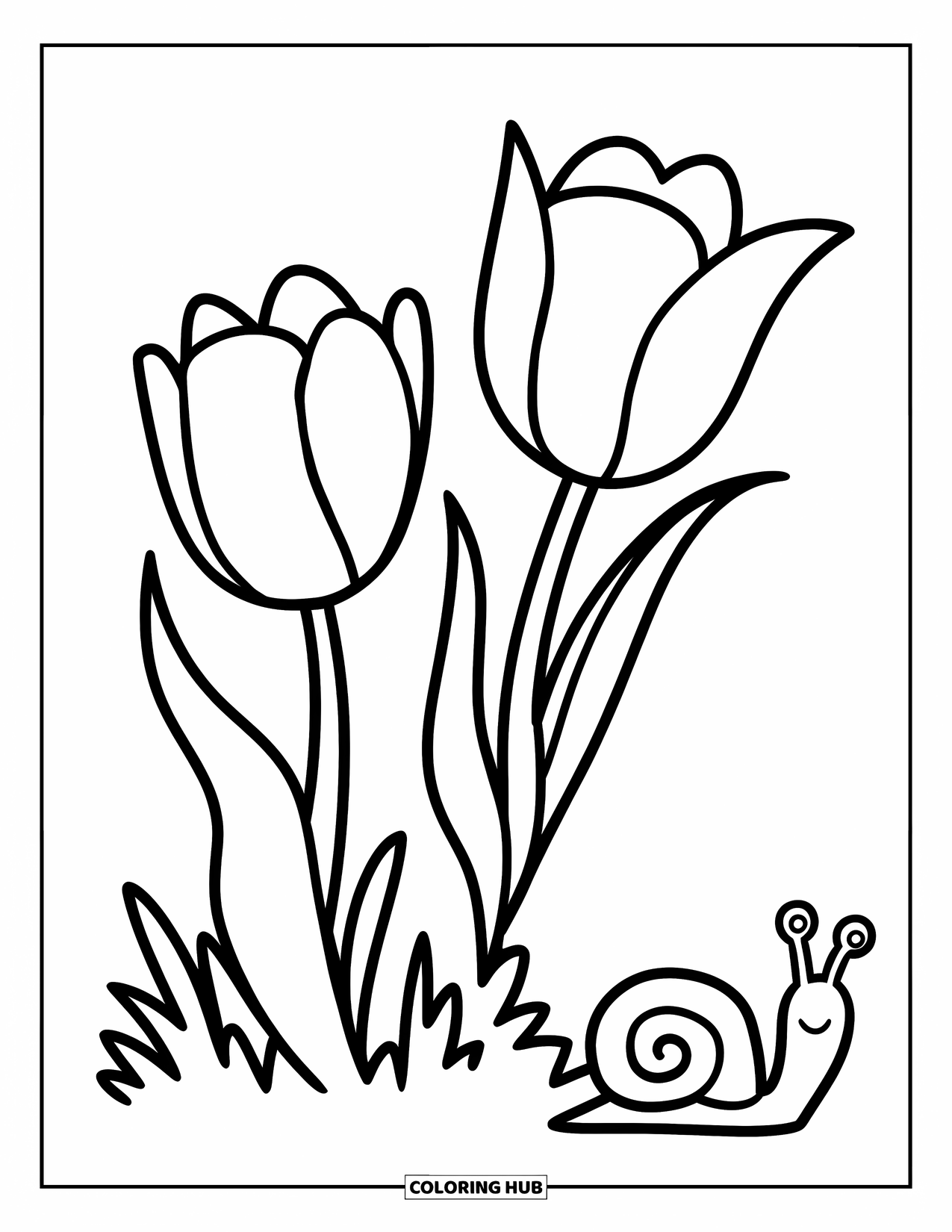 Desen de colorat cu lalele pentru copii: Două lalele stau înalte în timp ce un melc se mișcă încet pe lângă ele