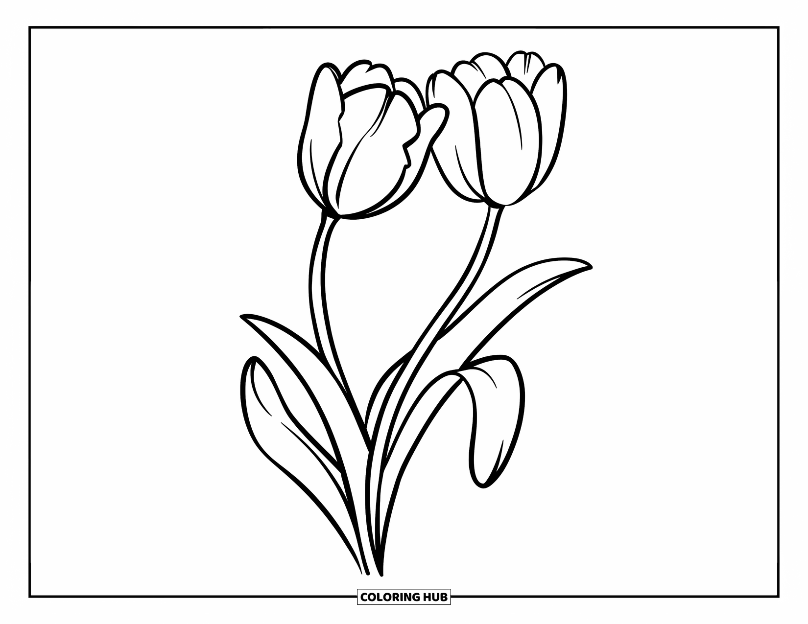 Desen de colorat cu lalele pentru copii: Două lalele se înclină una spre cealaltă într-o scenă simplă și dulce