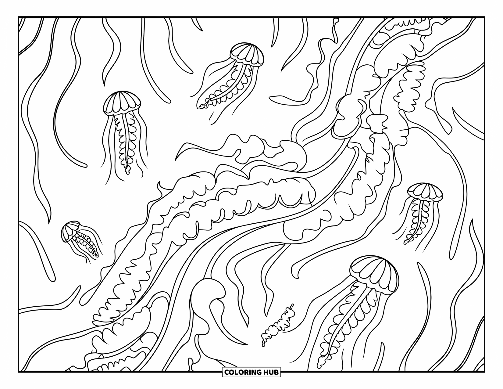 Kolorowanka Podwodny Świat dla dorosłych: Ogród z meduzami z długimi, płynącymi odnóżami
