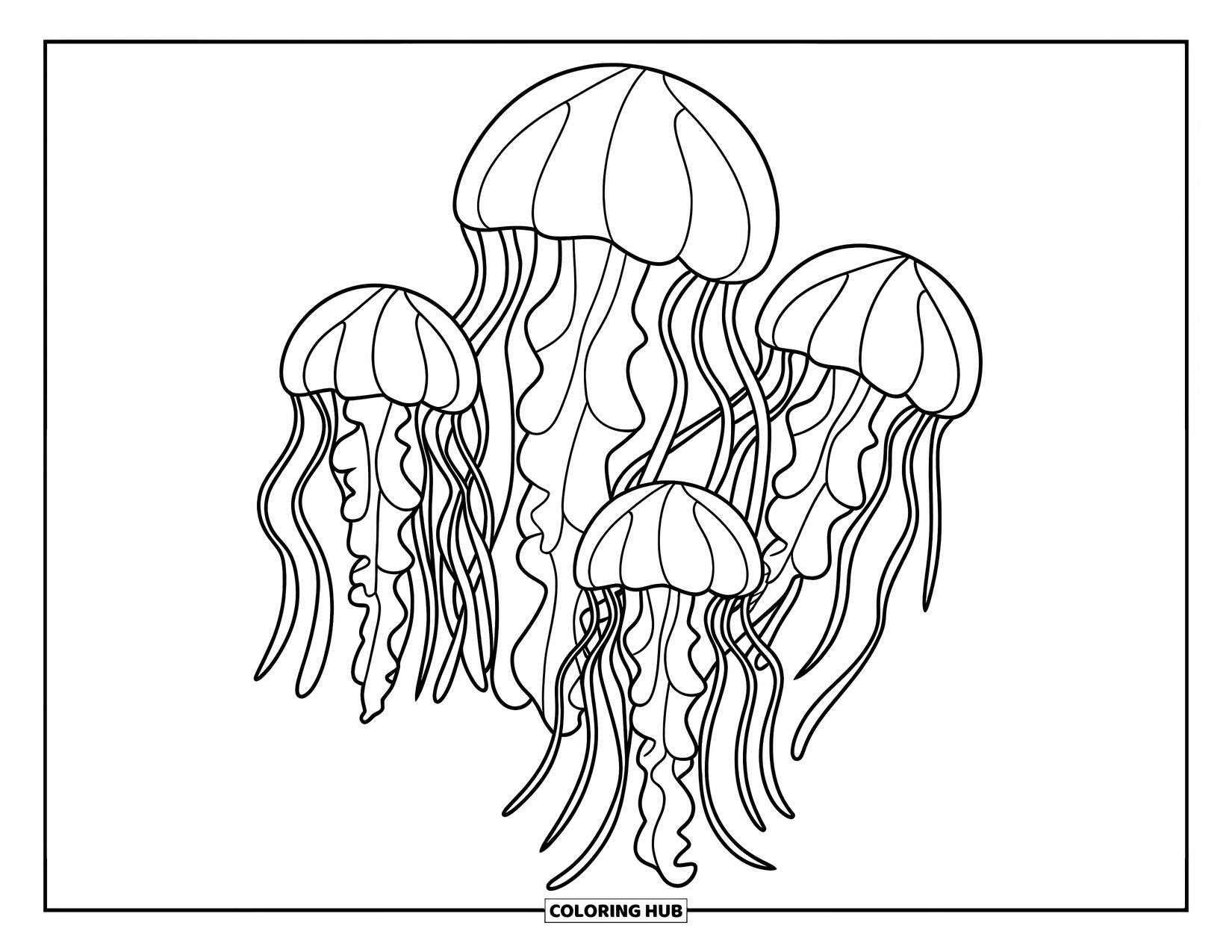 Kolorowanka Podwodny Świat dla dzieci: Trzy meduzy unoszą się spokojnie z długimi mackami w czystej wodzie