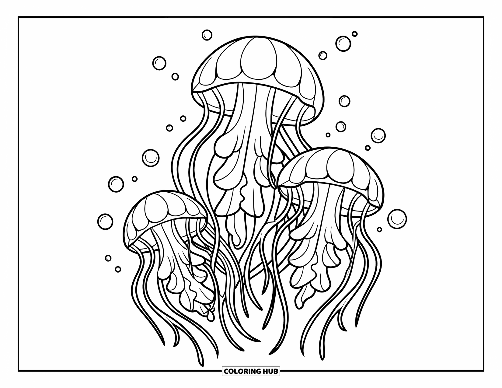 Kolorowanka Podwodny Świat dla dzieci: Trzy meduzy z płynącymi mackami dryfują otoczone bąbelkami